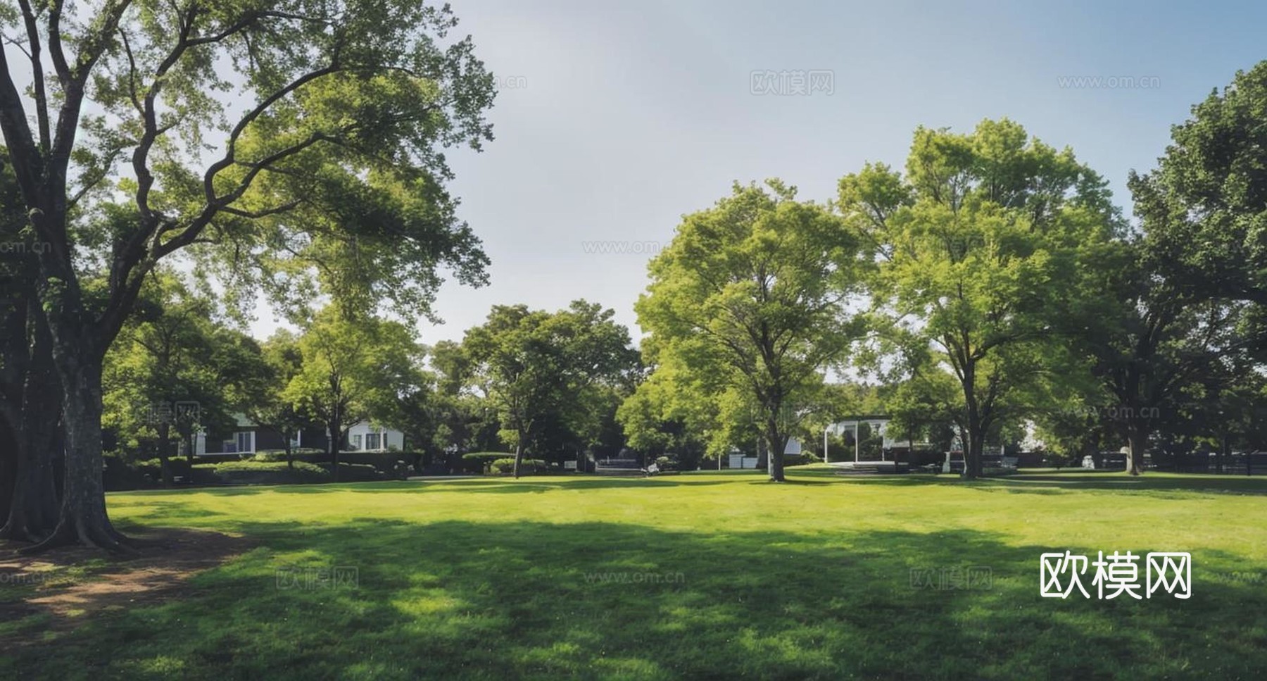 日景_草地_晴天