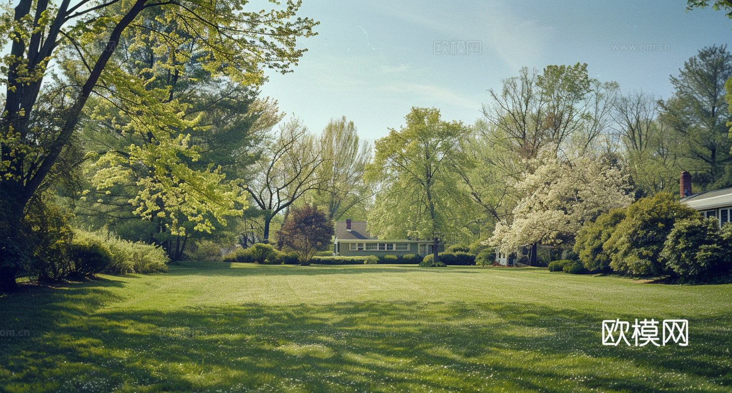 公园森林草坪外景