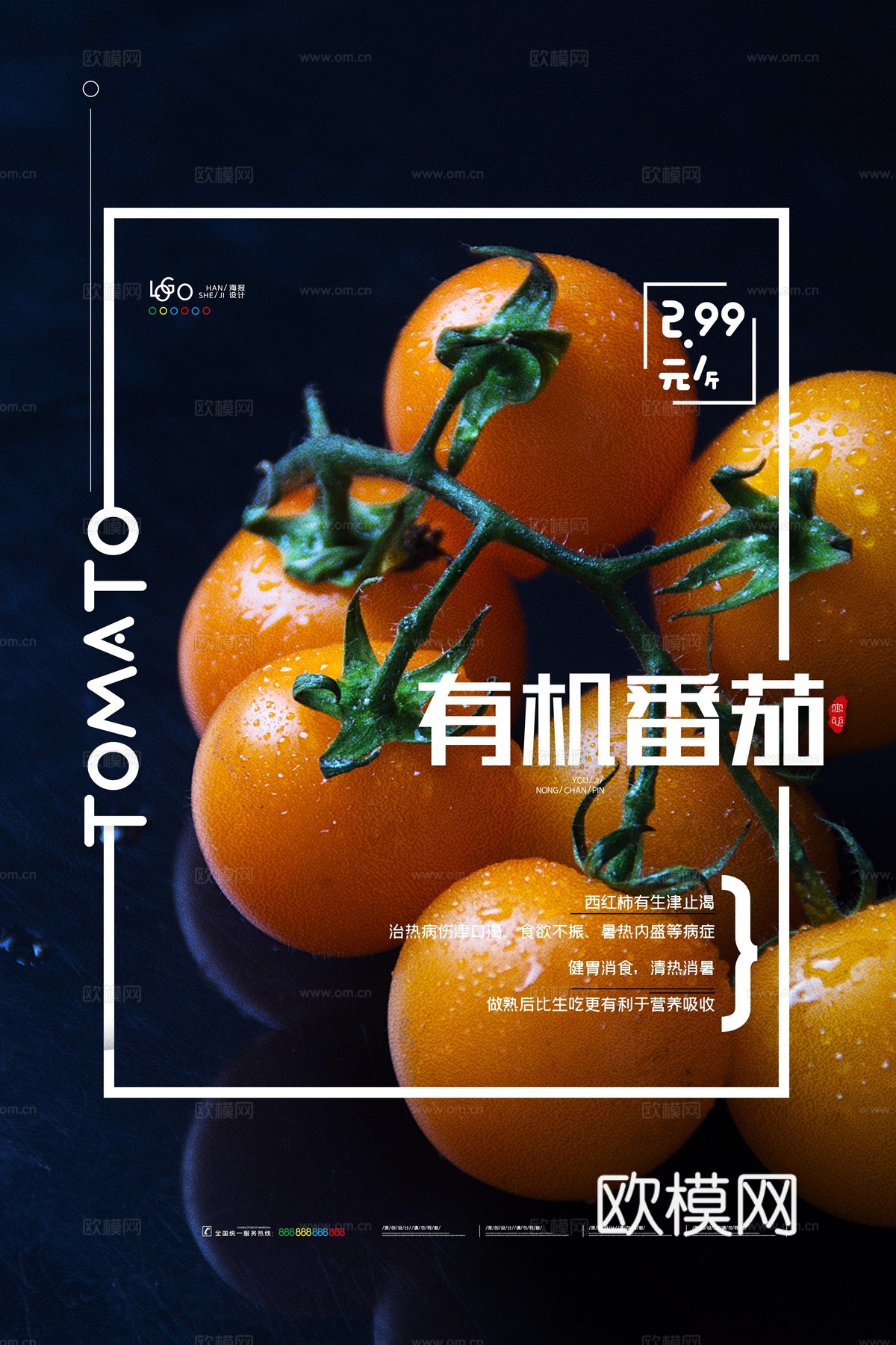 美食广告海报101