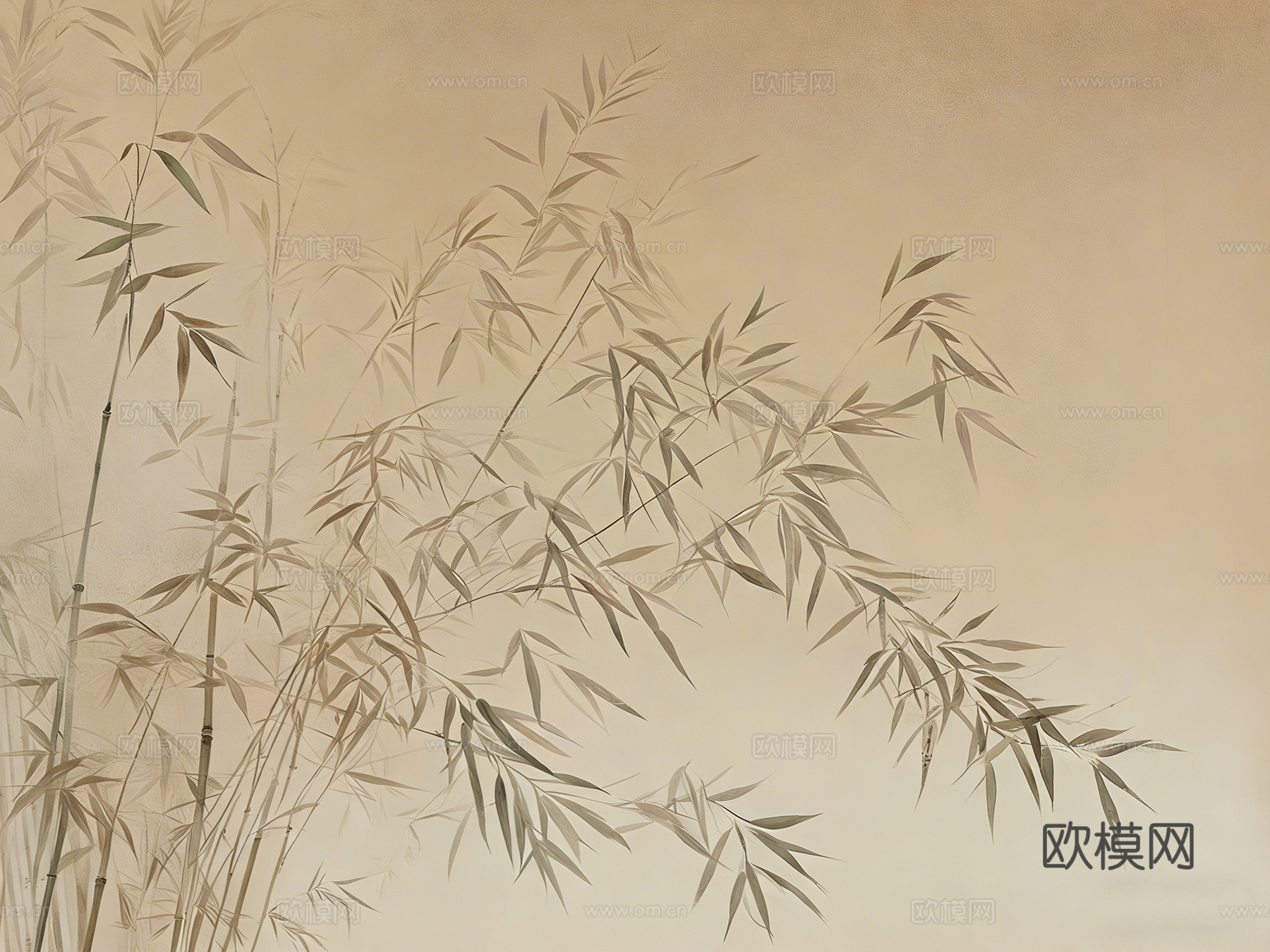 禅意 竹影 壁纸 灯箱画面