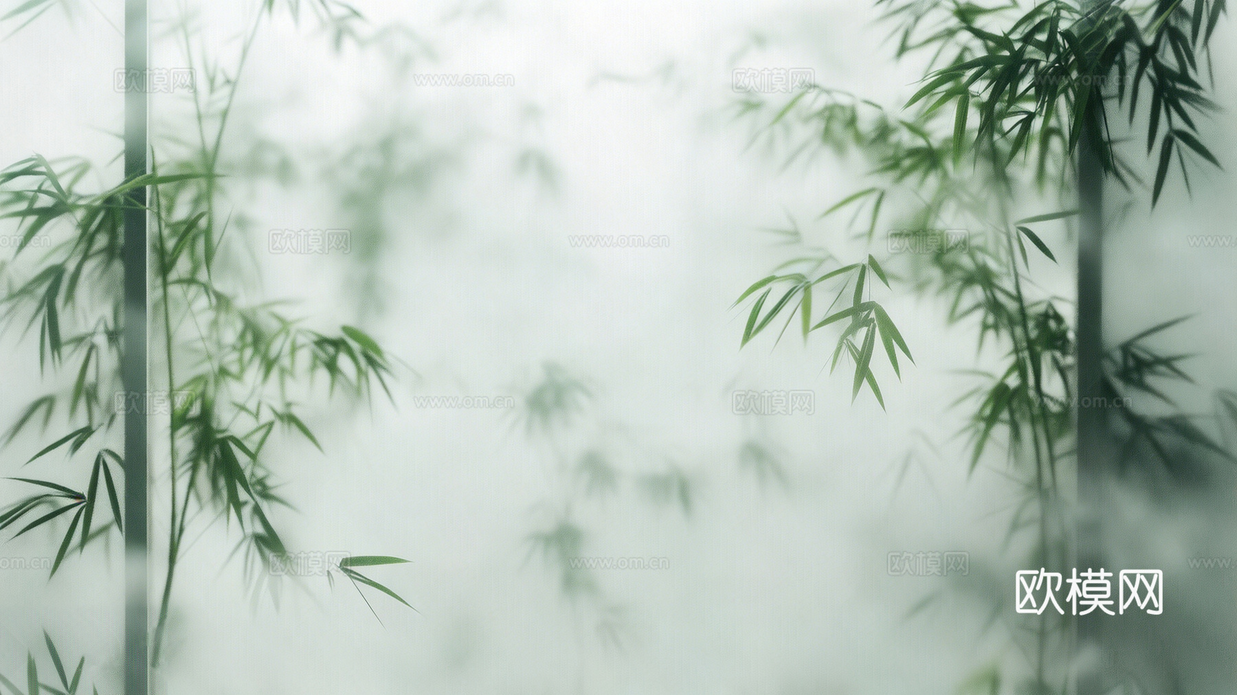 禅意 竹影 壁纸 灯箱画面