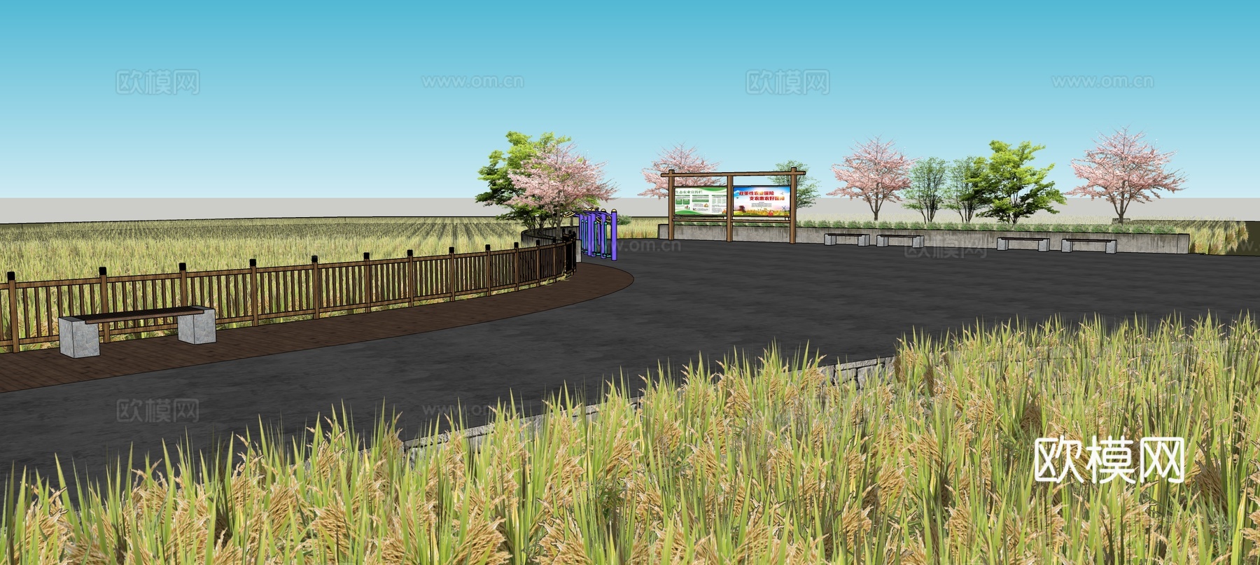 稻田休闲步道su模型
