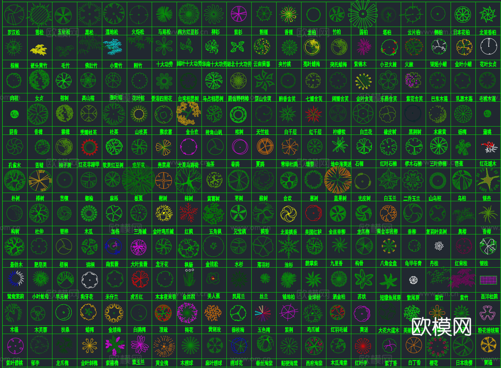 2026年最新超全园林景观植物绿植平面立面图例CAD图库cad施工图