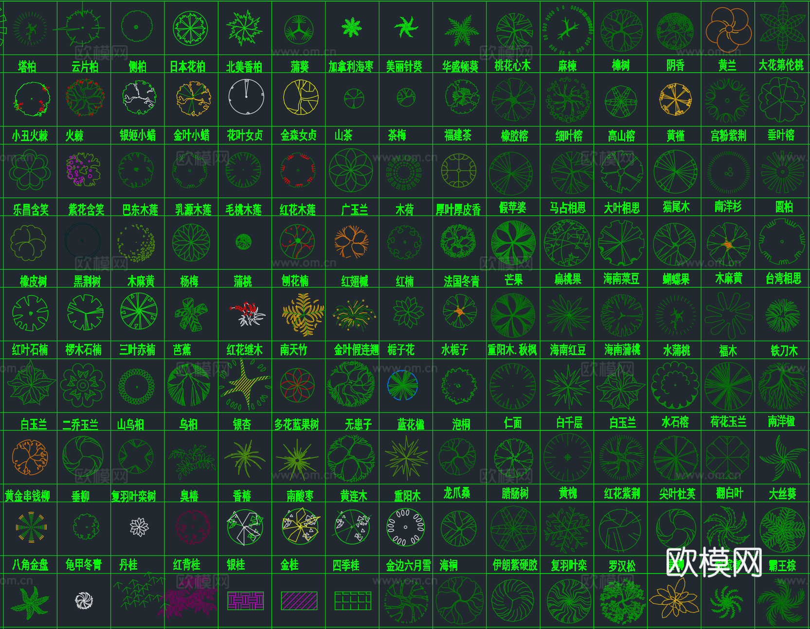 2026年最新超全园林景观植物绿植平面立面图例CAD图库cad施工图