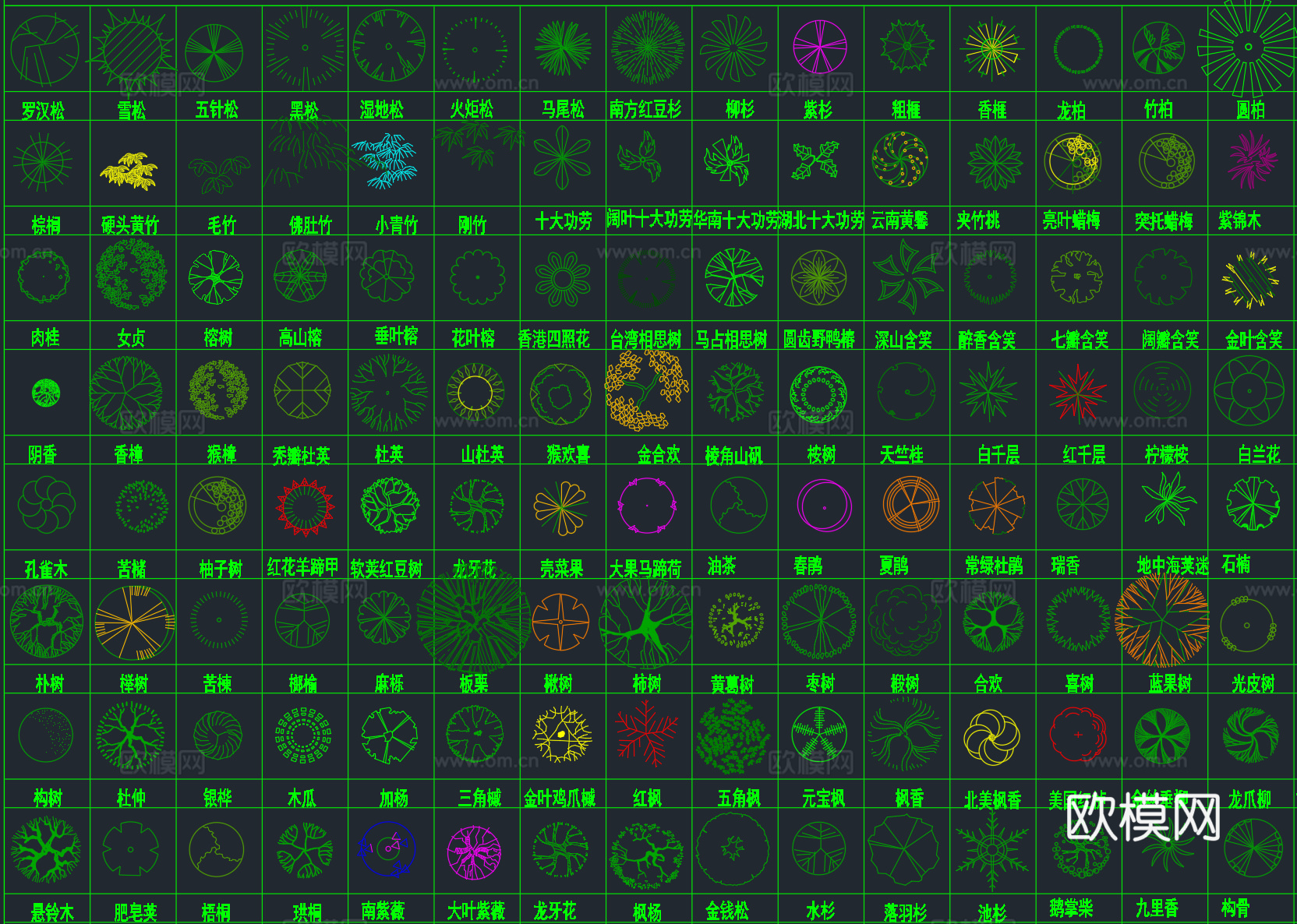 2026年最新超全园林景观植物绿植平面立面图例CAD图库cad施工图