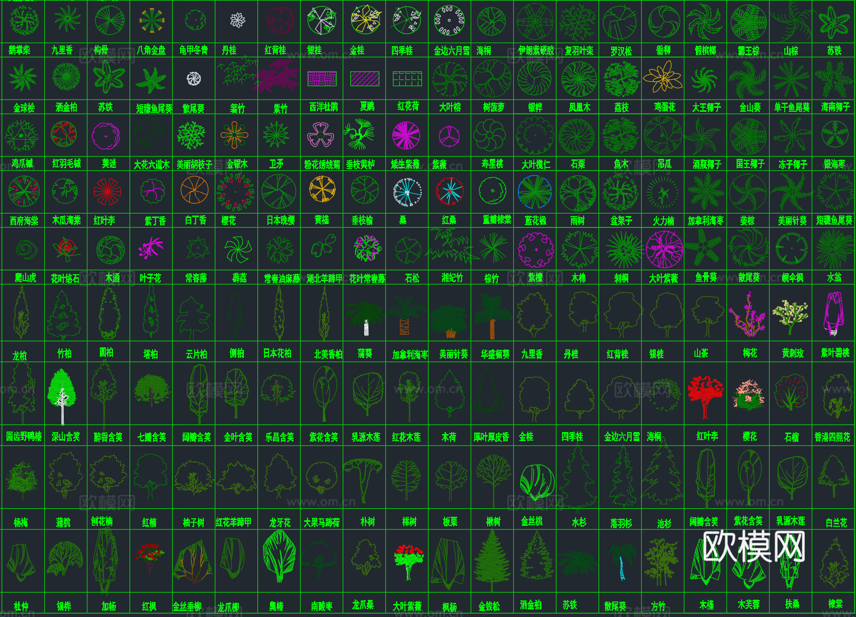 2026年最新超全园林景观植物绿植平面立面图例CAD图库cad施工图