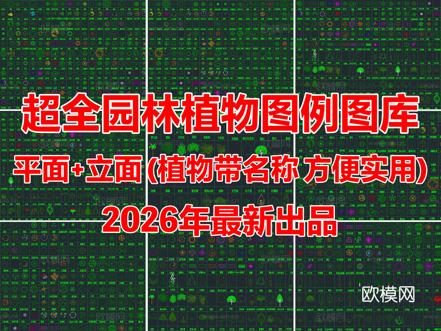 2026年最新超全园林景观植物绿植平面立面图例CAD图库cad施工图