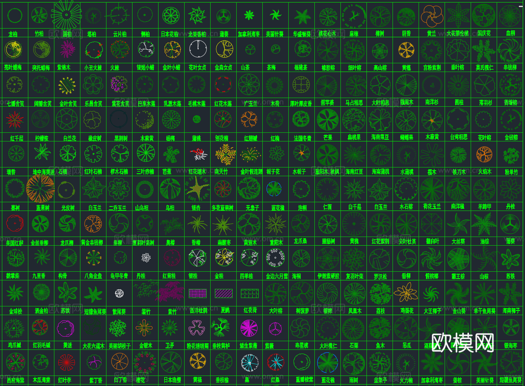 2026年最新超全园林景观植物绿植平面立面图例CAD图库cad施工图