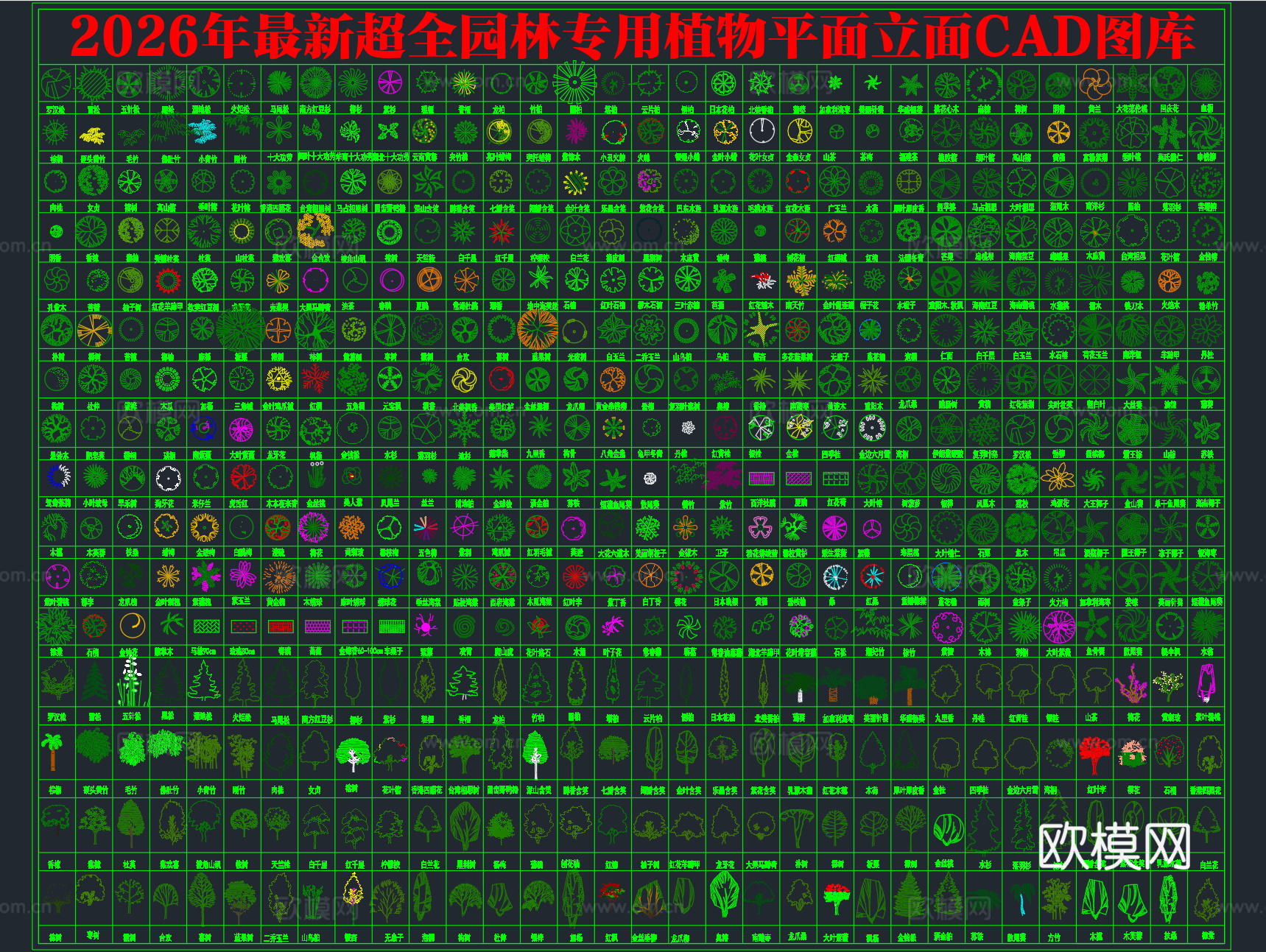 2026年最新超全园林景观植物绿植平面立面图例CAD图库cad施工图