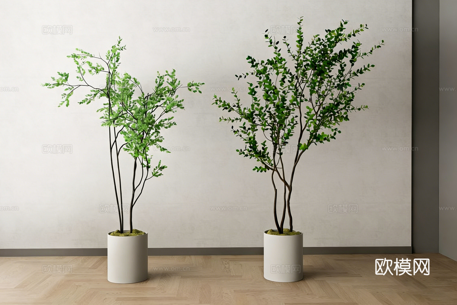 现代简约枝干造型绿植盆栽套组(两盆)｜苔藓铺面+白色圆柱盆su模型