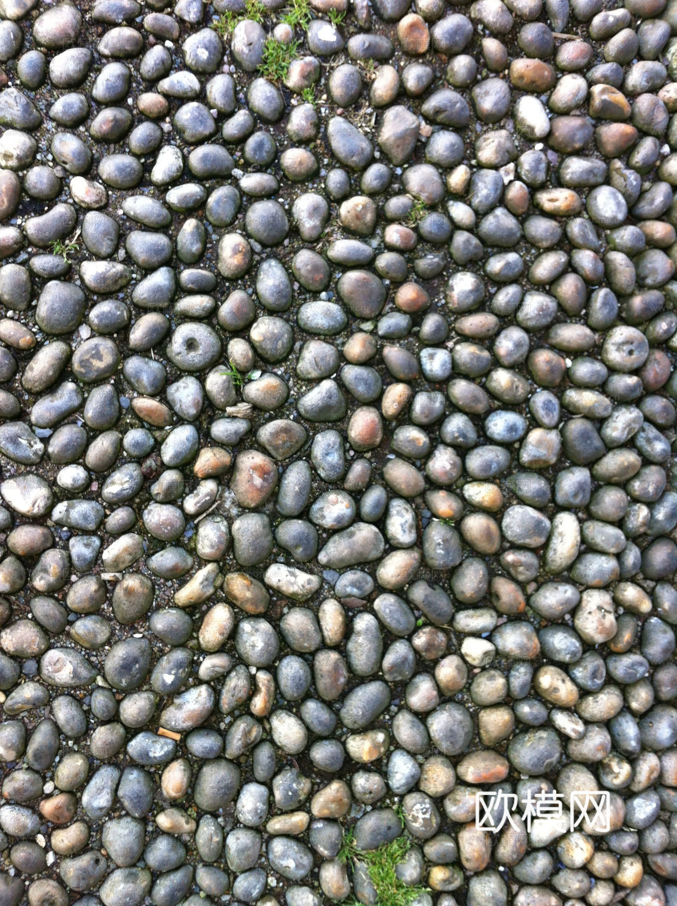 现代鹅卵石，碎石，石子，砂砾石，水洗石地面