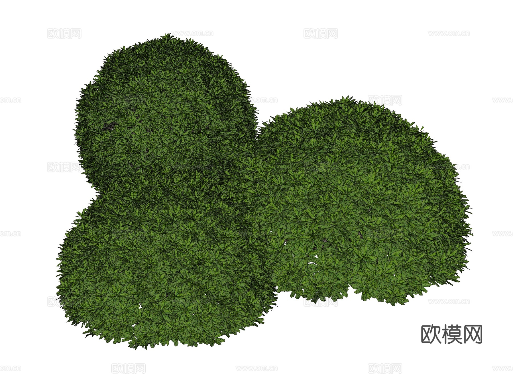 灌木 灌木丛 灌木球 绿篱 绿化带灌木su模型