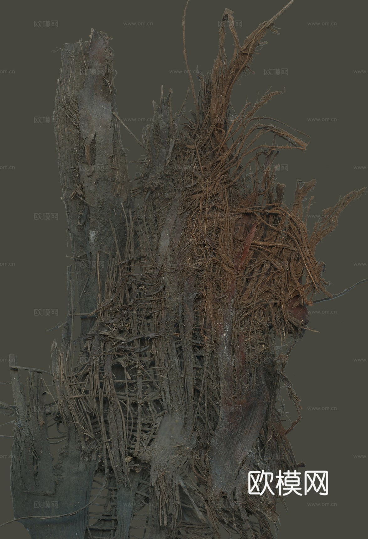 高精度腐朽树干