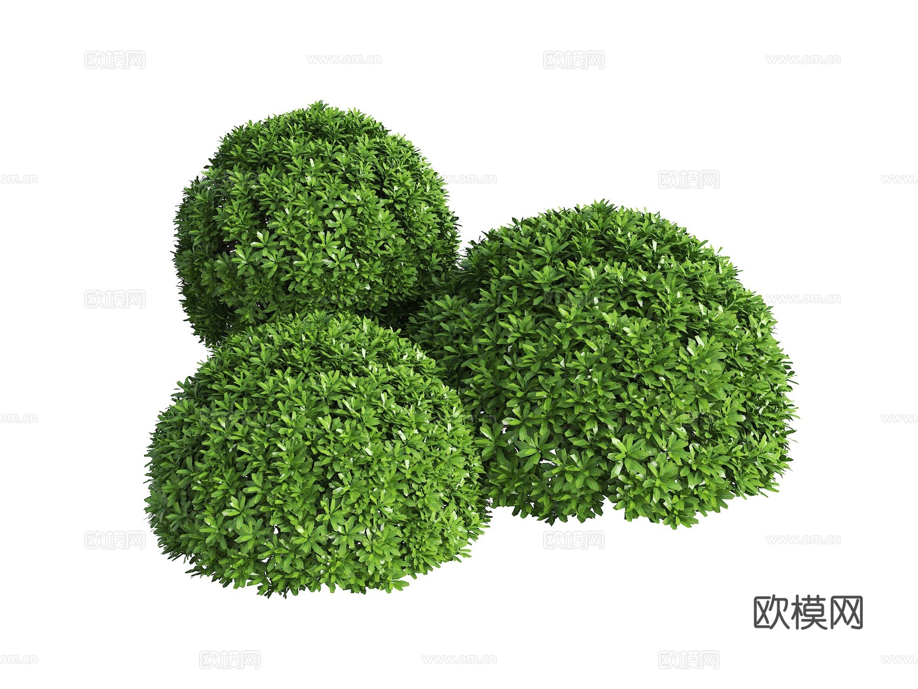 灌木 灌木丛 灌木球 绿篱 绿化带灌木su模型
