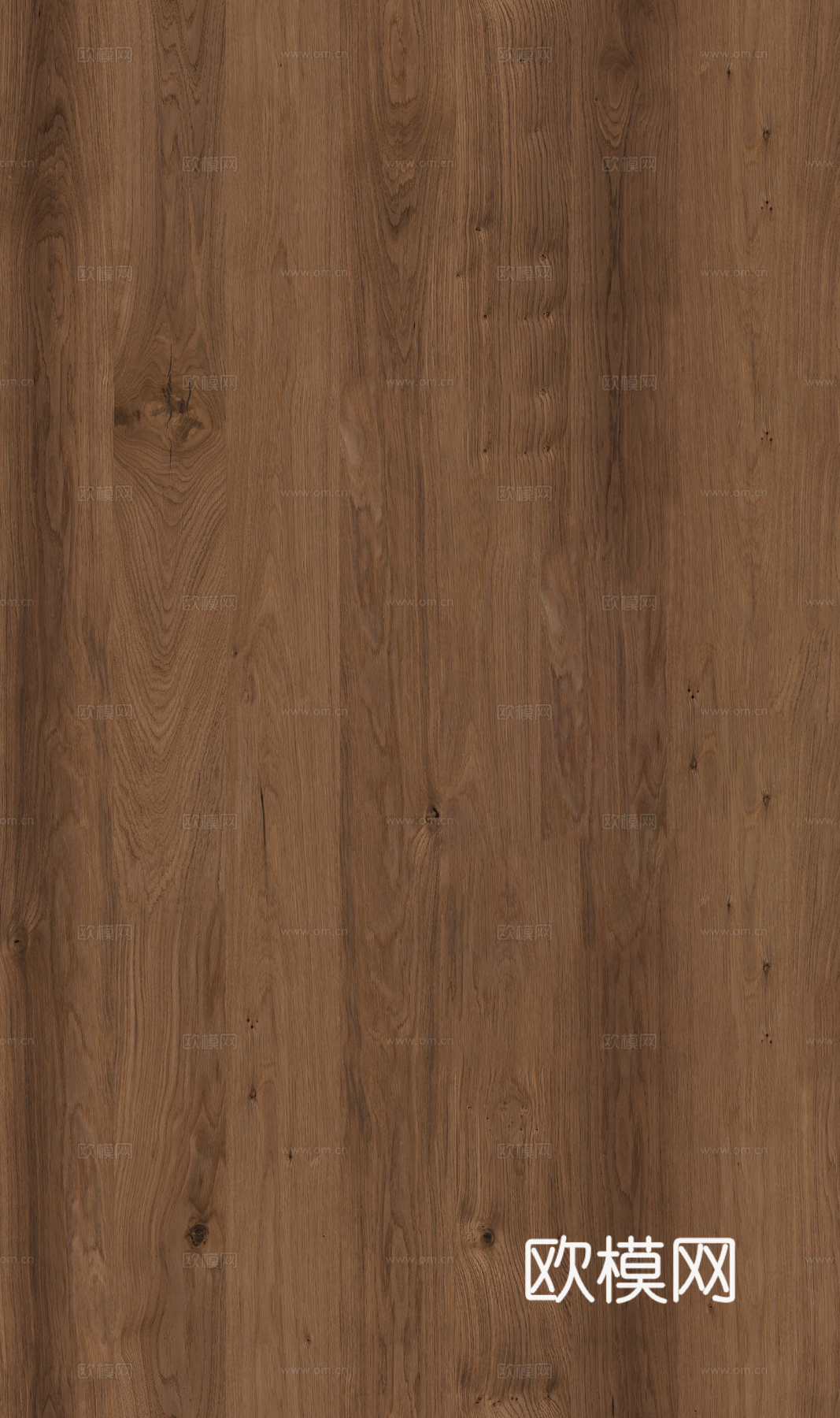 橡木木纹无缝