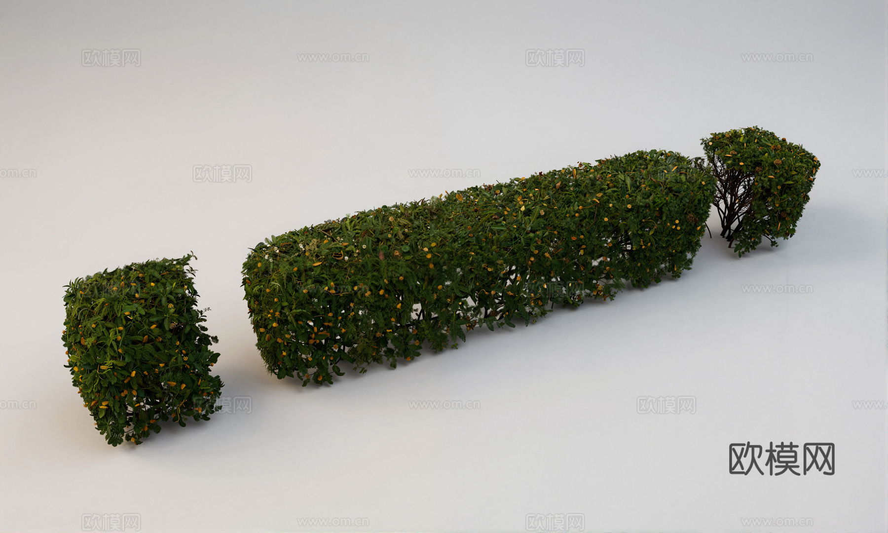 现代绿篱灌木su模型