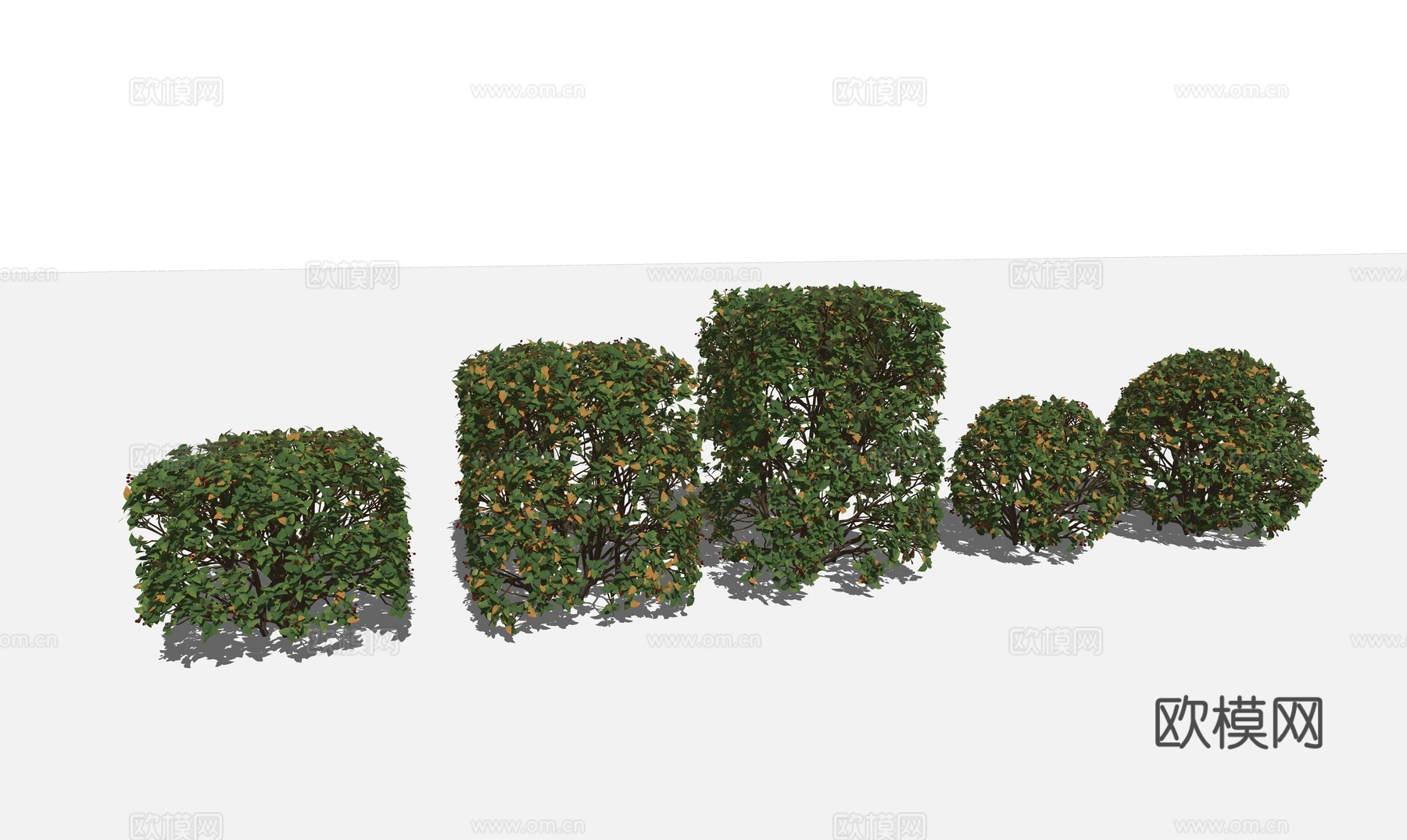 现代绿篱灌木su模型