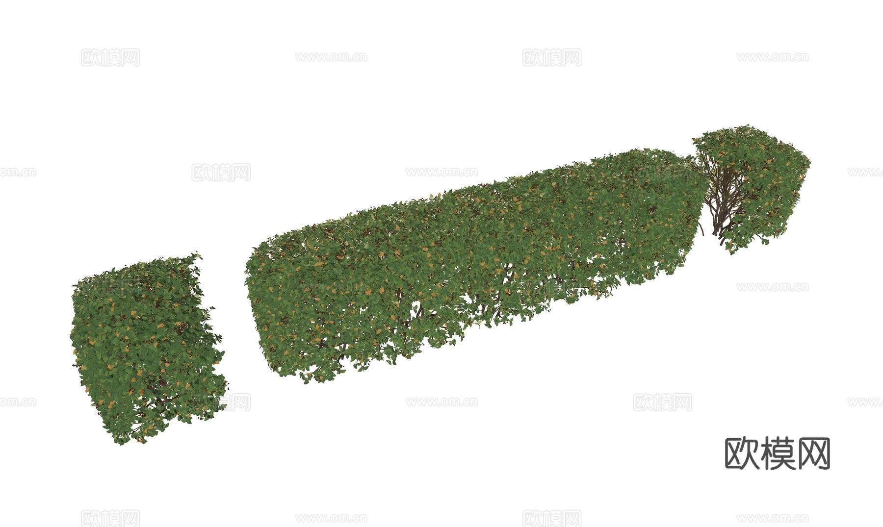 现代绿篱灌木su模型