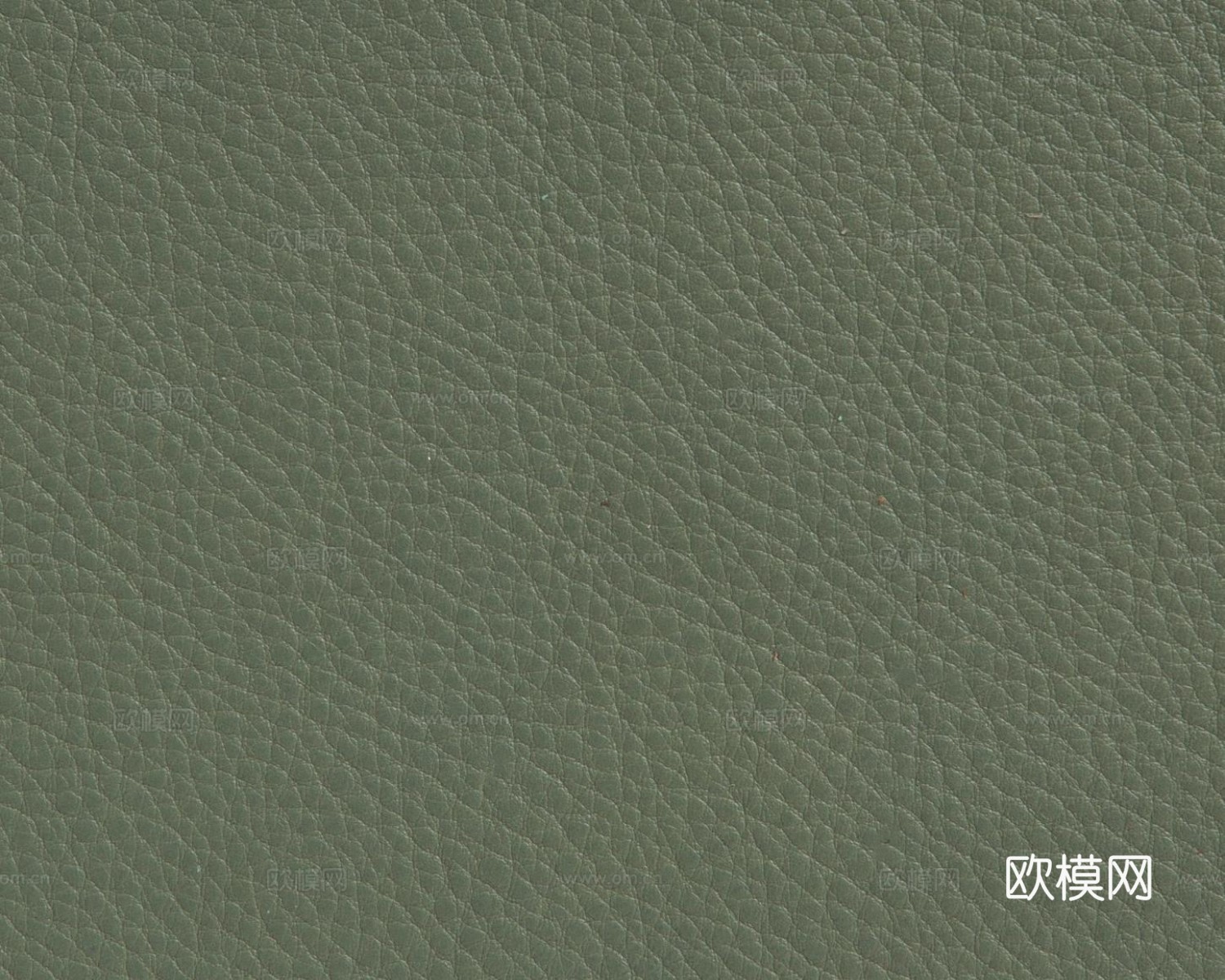 现代无缝粗纹皮革 绿色粗纹无缝真皮纹理