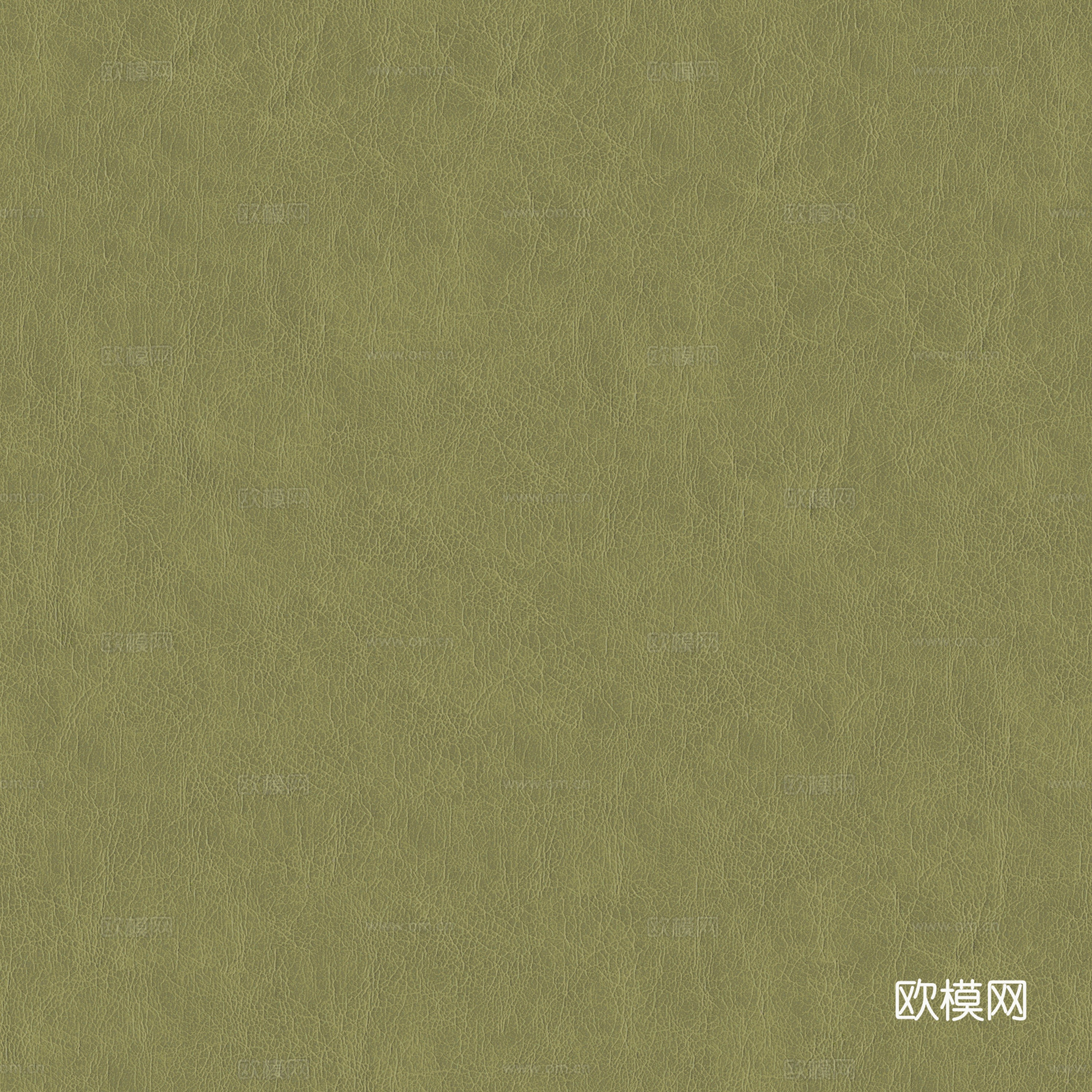 现代无缝粗纹皮革 绿色粗纹无缝真皮纹理