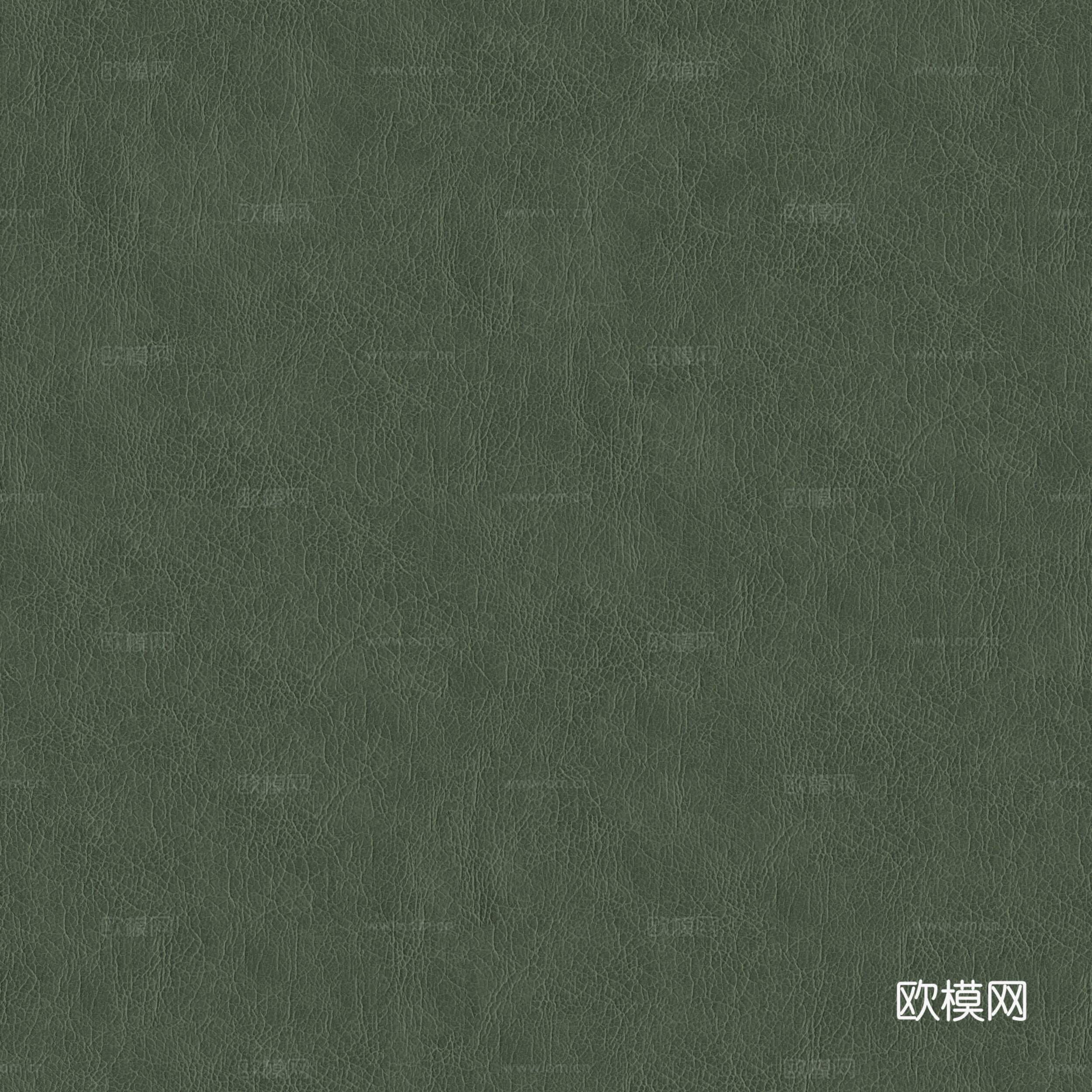 现代无缝粗纹皮革 绿色粗纹无缝真皮纹理