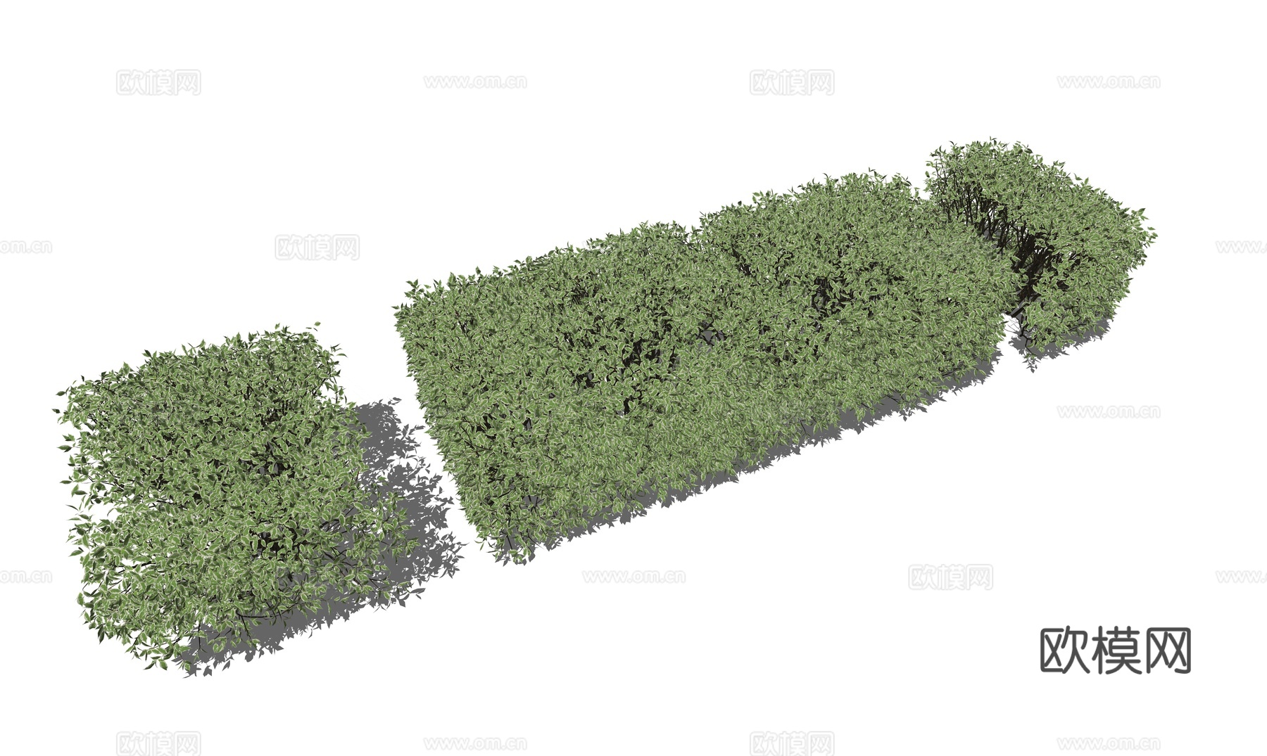 现代绿篱灌木su模型