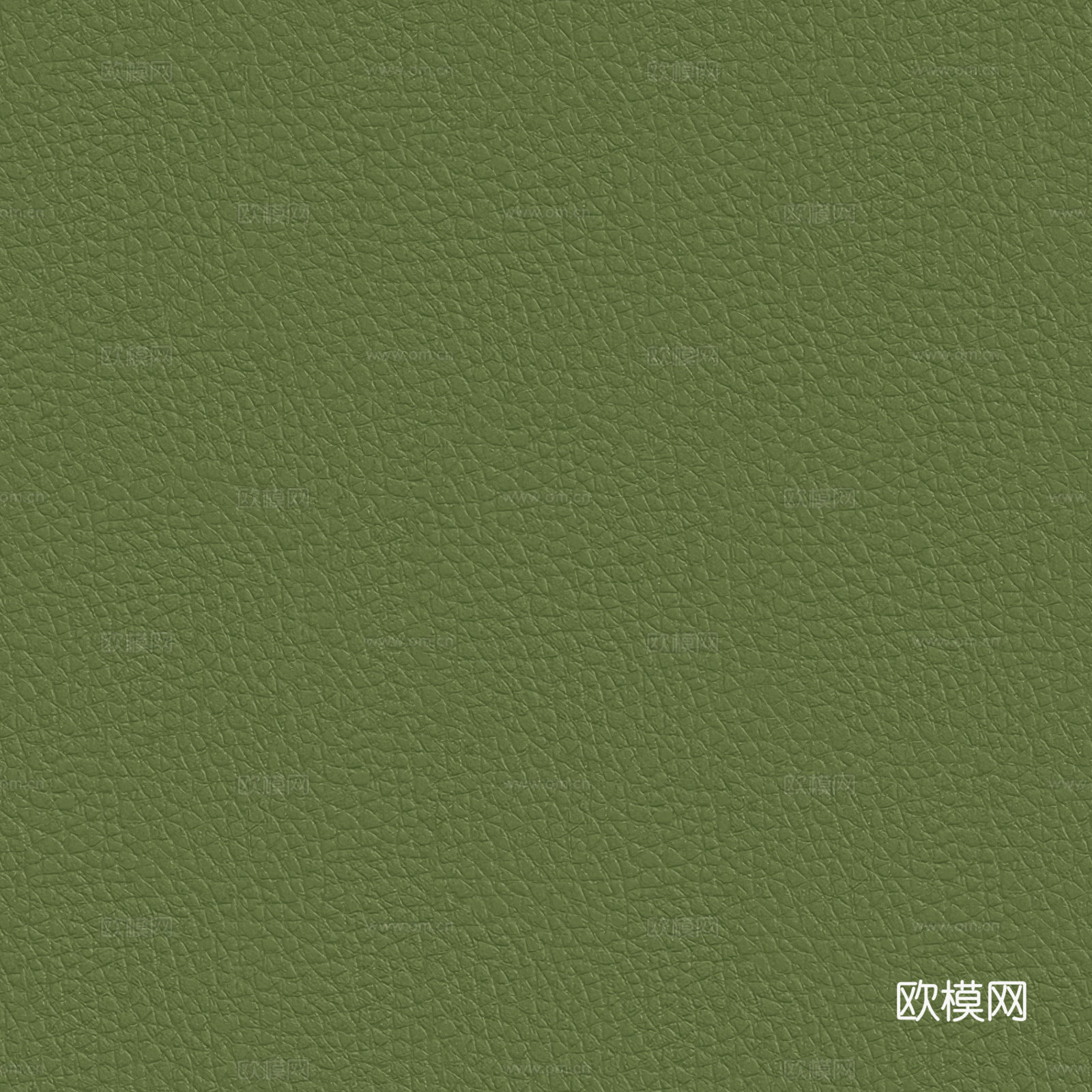 现代无缝粗纹皮革 绿色粗纹无缝真皮纹理