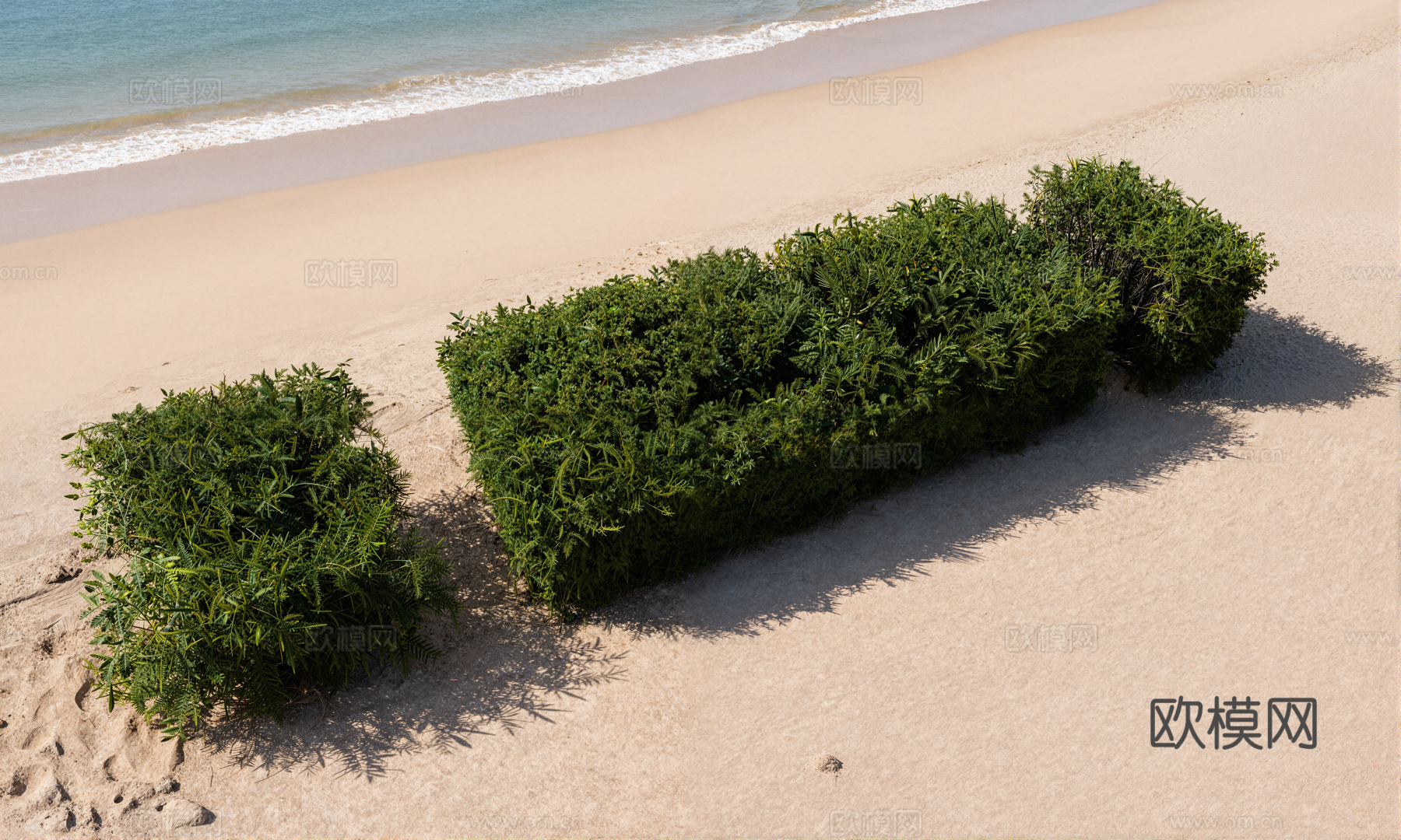 现代绿篱灌木su模型