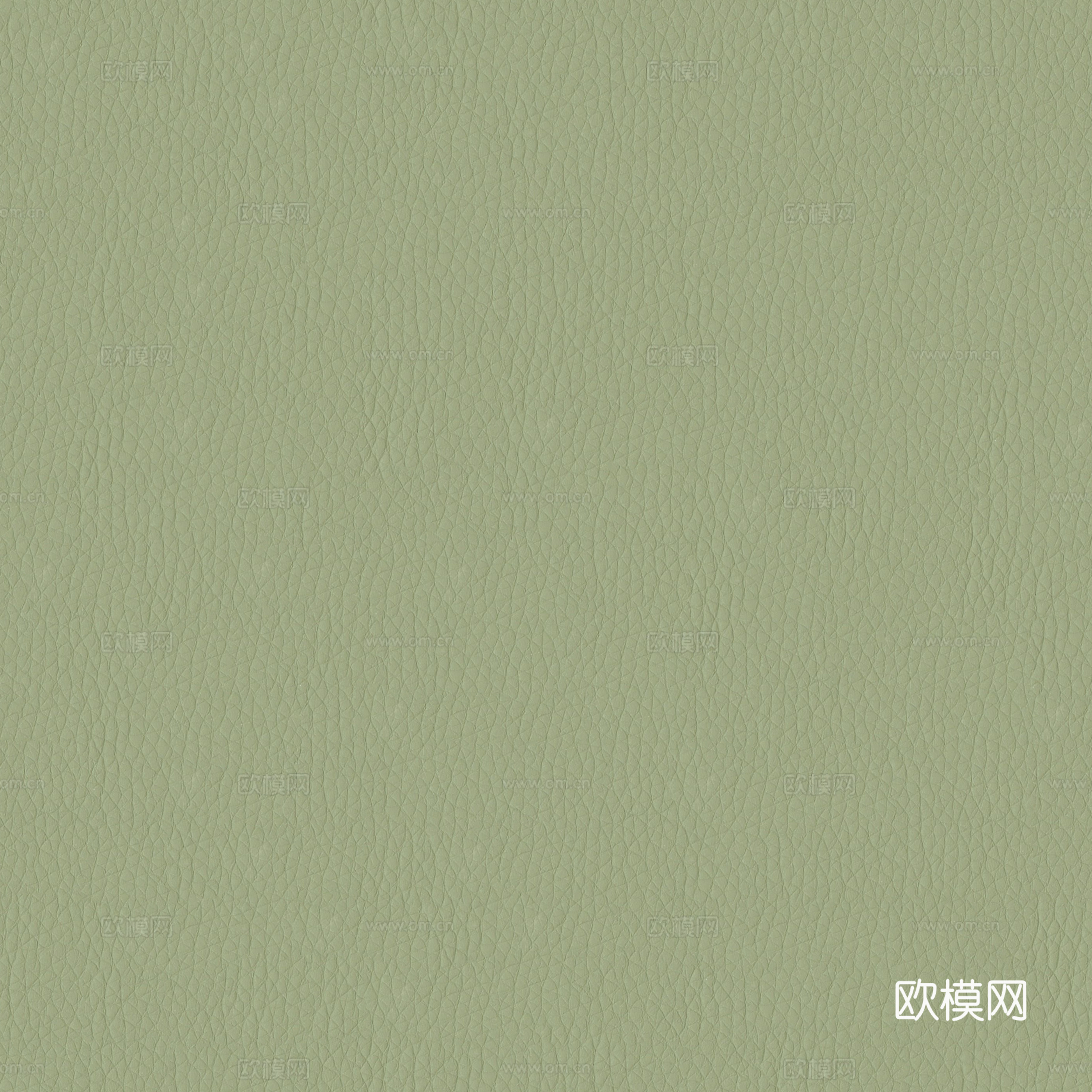 现代无缝法式细纹皮革 绿色哑光皮革皮纹贴图