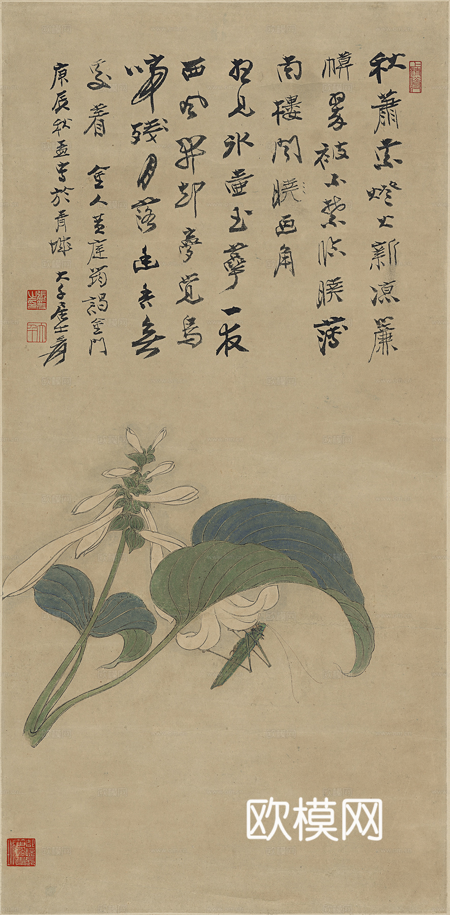 张大千绘画作品，中国近现代水墨画，写意水墨画花卉草虫下载