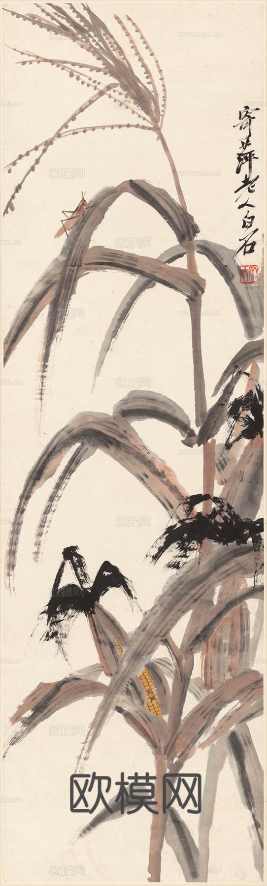 齐白石写意水墨画，近现代水墨画 玉米蚱蜢-X 33X110