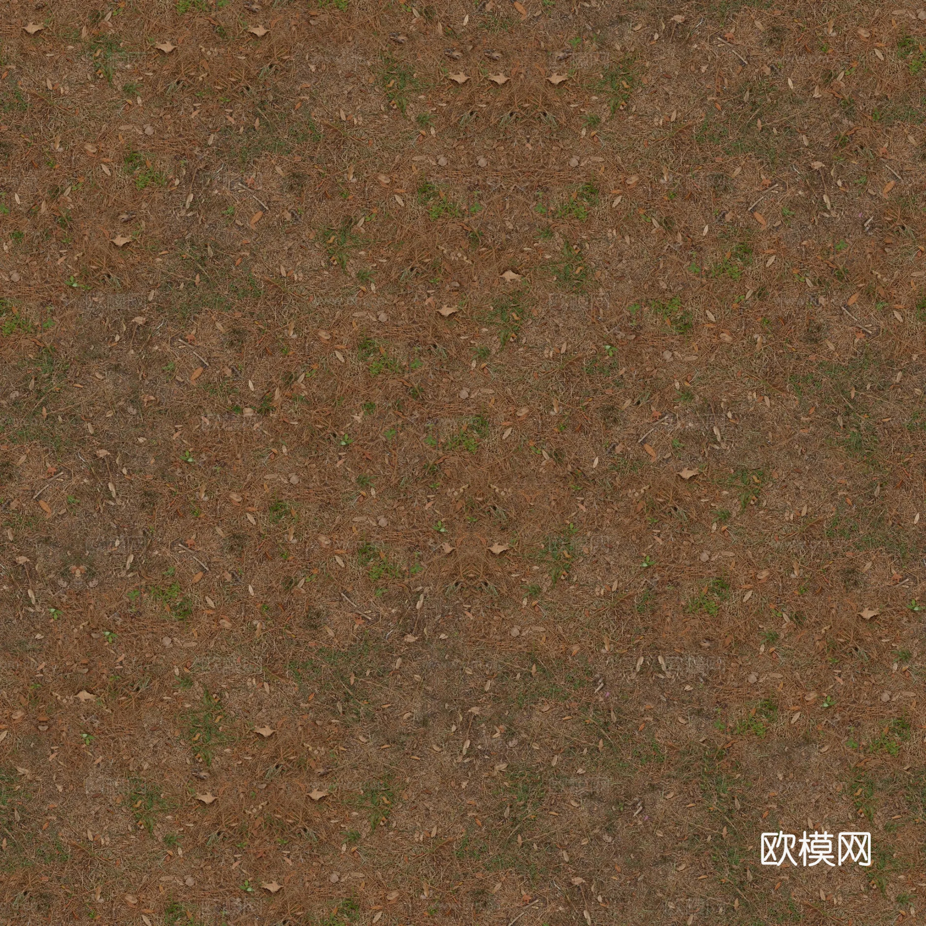 水泥地 土地 土壤 地面 碎石