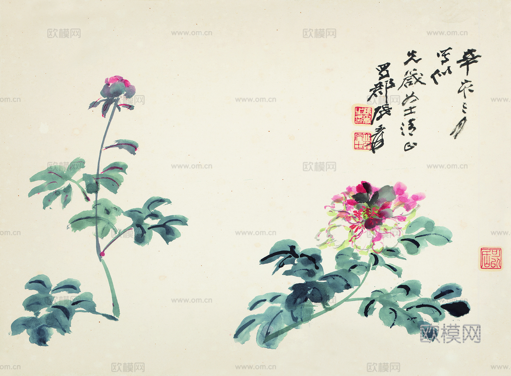 张大千绘画作品，中国近现代水墨画，写意水墨画芍药图纸本
