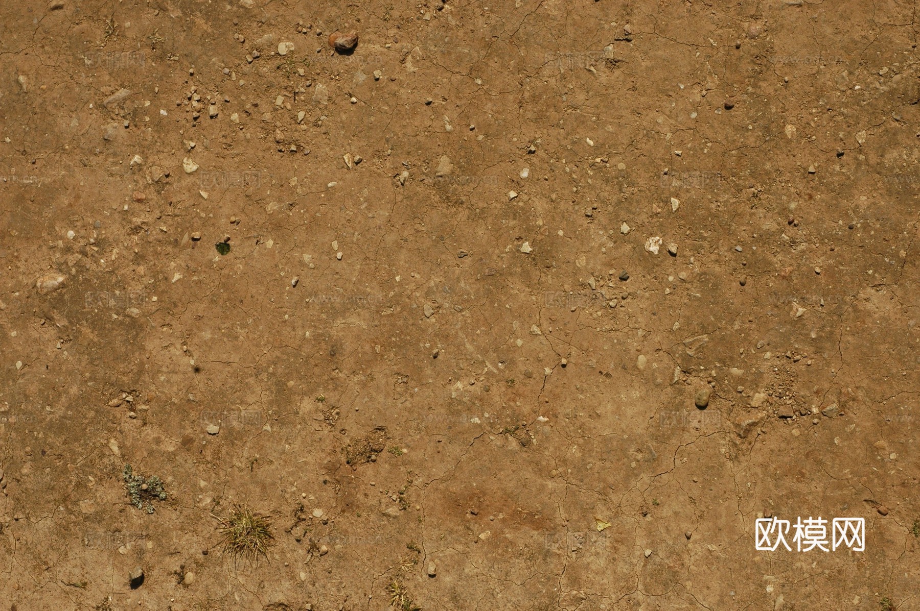 水泥地 土地 土壤 地面 碎石