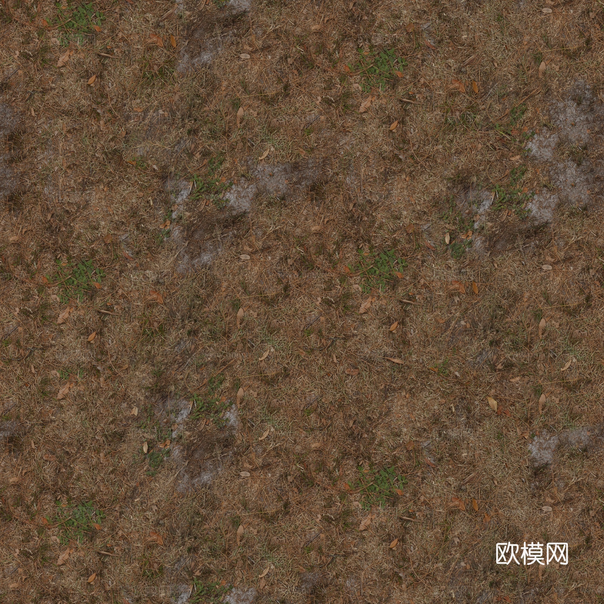 水泥地 土地 土壤 地面 碎石