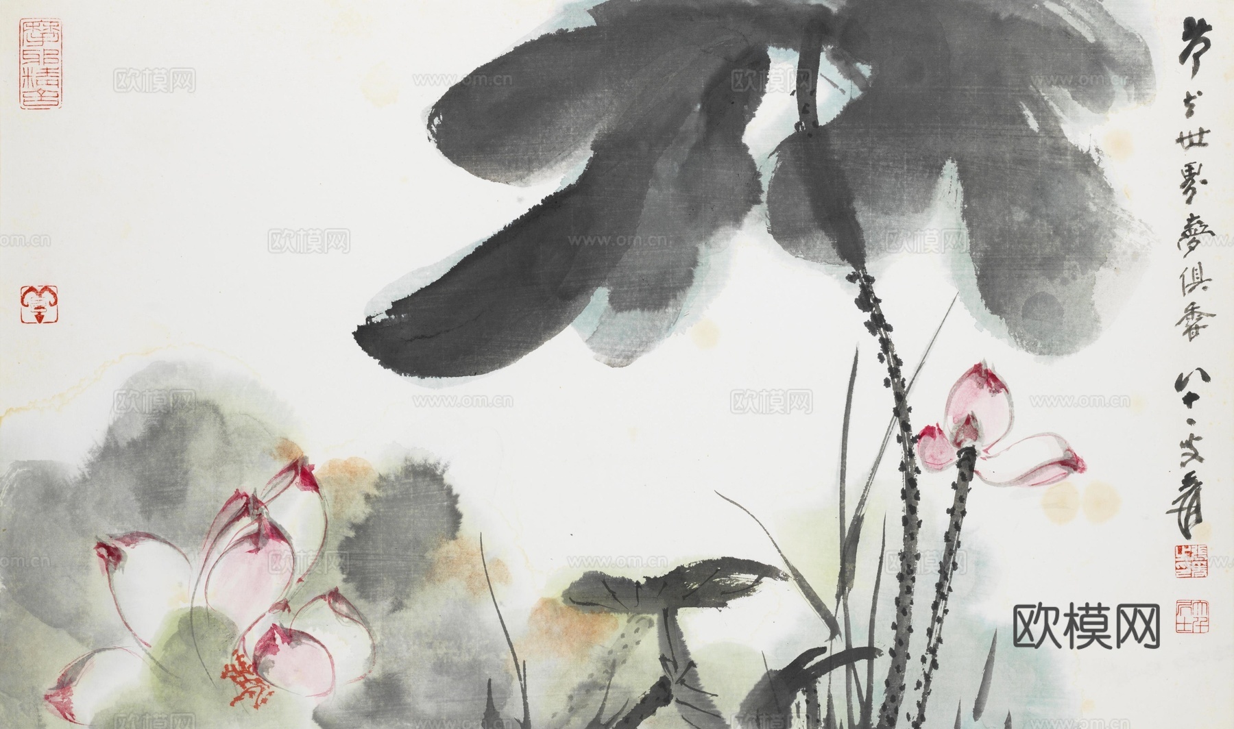 张大千绘画作品，中国近现代水墨画，写意水墨画荷花 (3)