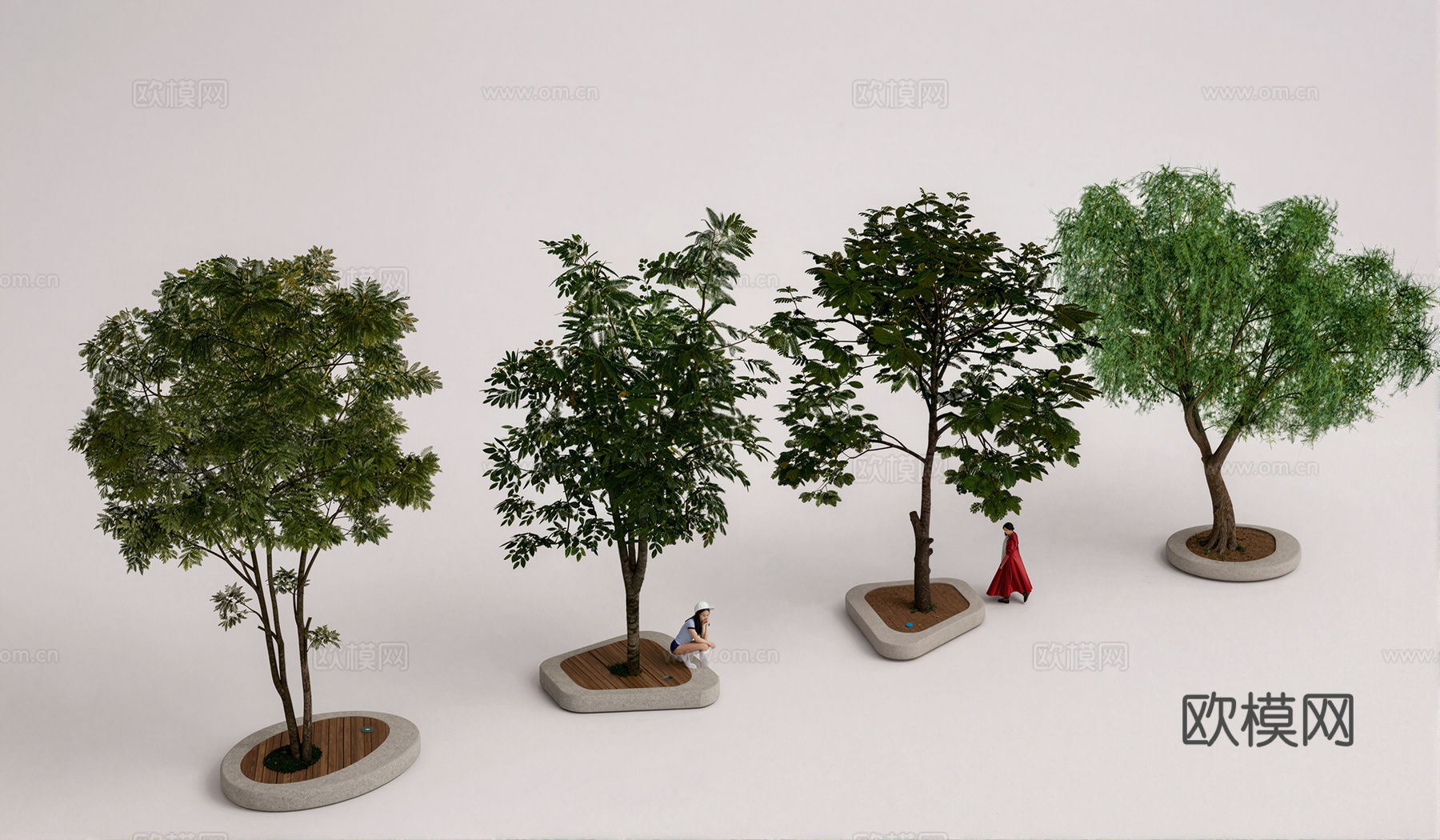 现代树池景观树su模型下载（渲染图1）