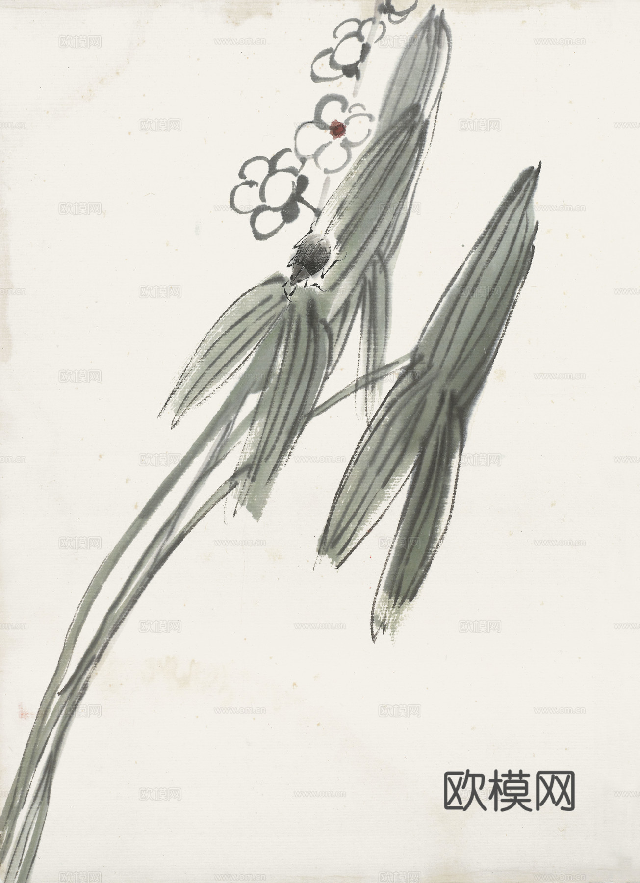 齐白石写意水墨画，近现代水墨画67 (2)