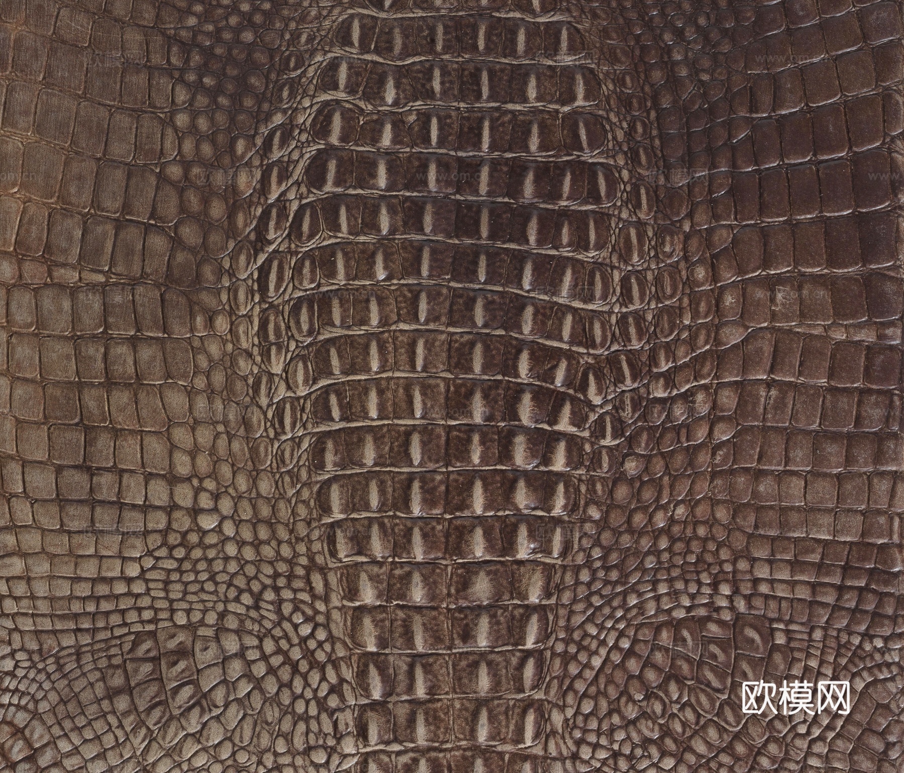 高清鳄鱼皮革贴图