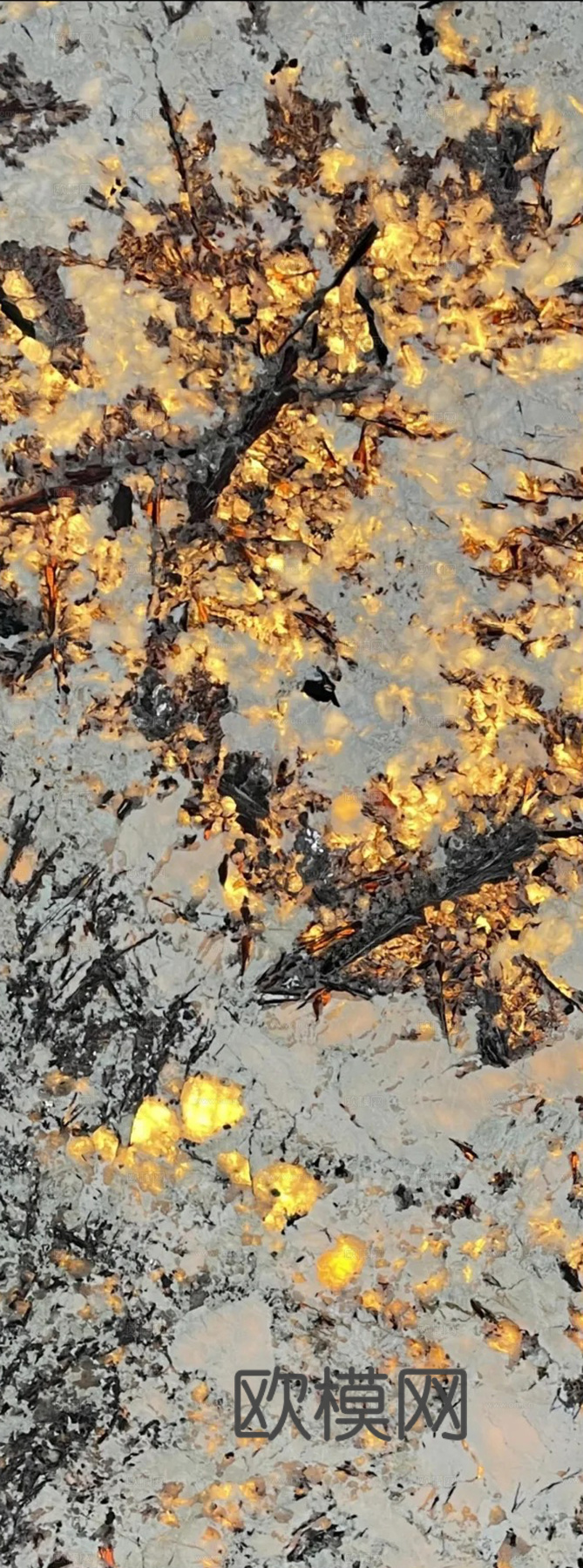 奢石金孔雀透光石