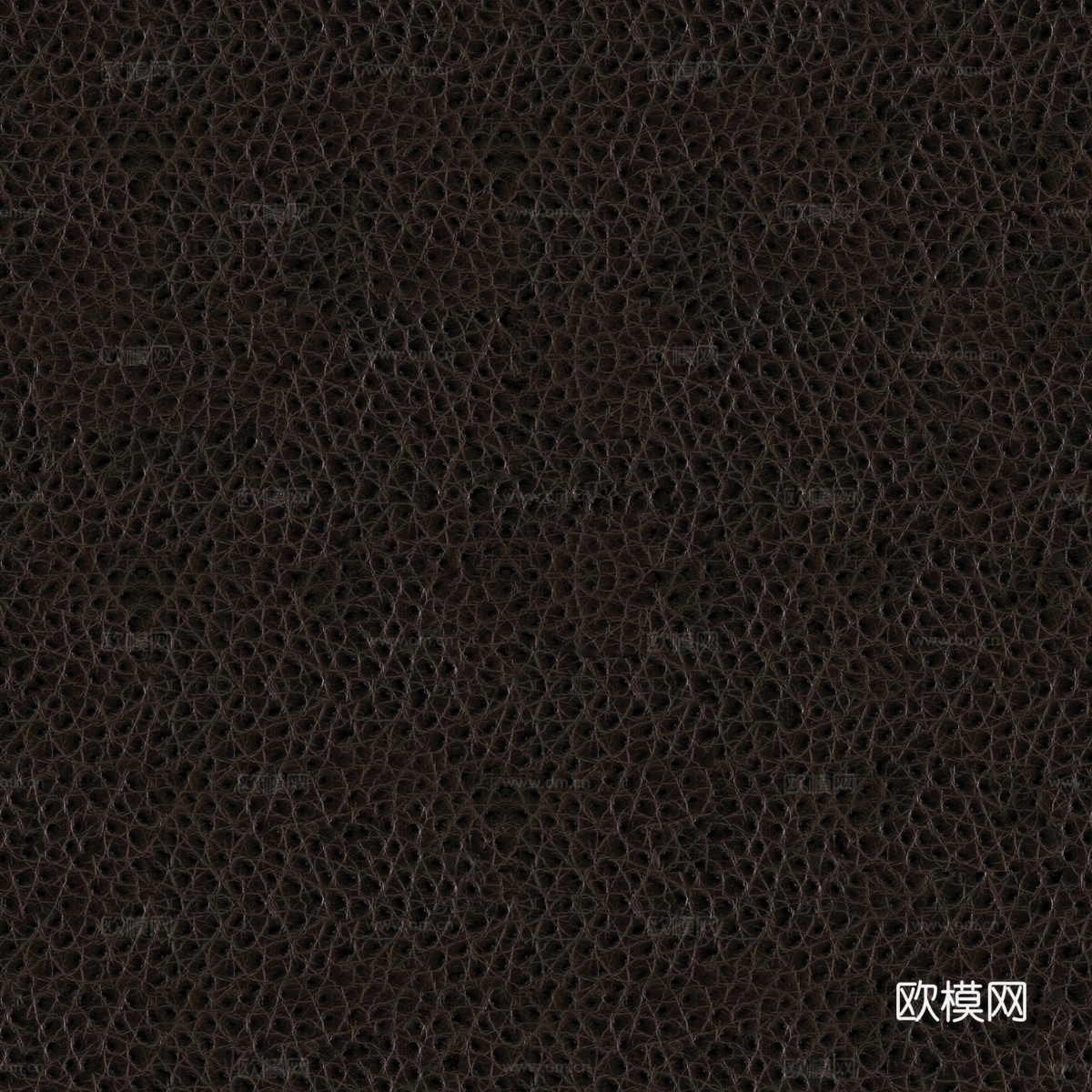 高清鳄鱼皮革贴图