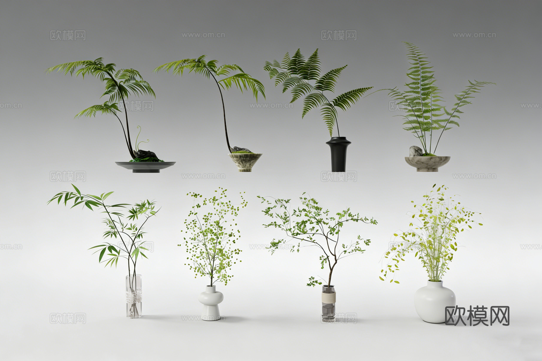 新中式绿植盆栽 蕨类水培植物 设计感花盆  苔藓石头su模型下载（渲染图1）