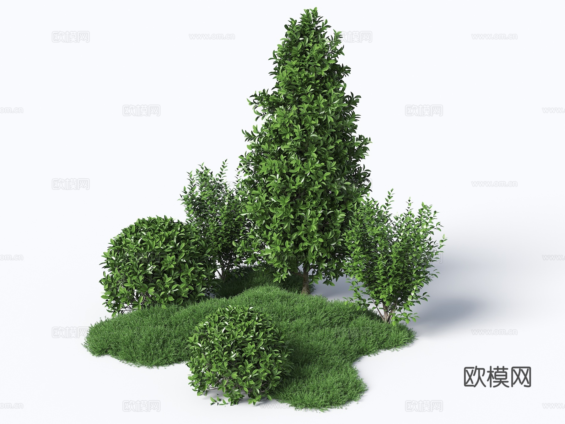 灌木 灌木丛 组团灌木 绿化带植物 球形植被 球形植物 绿化su模型