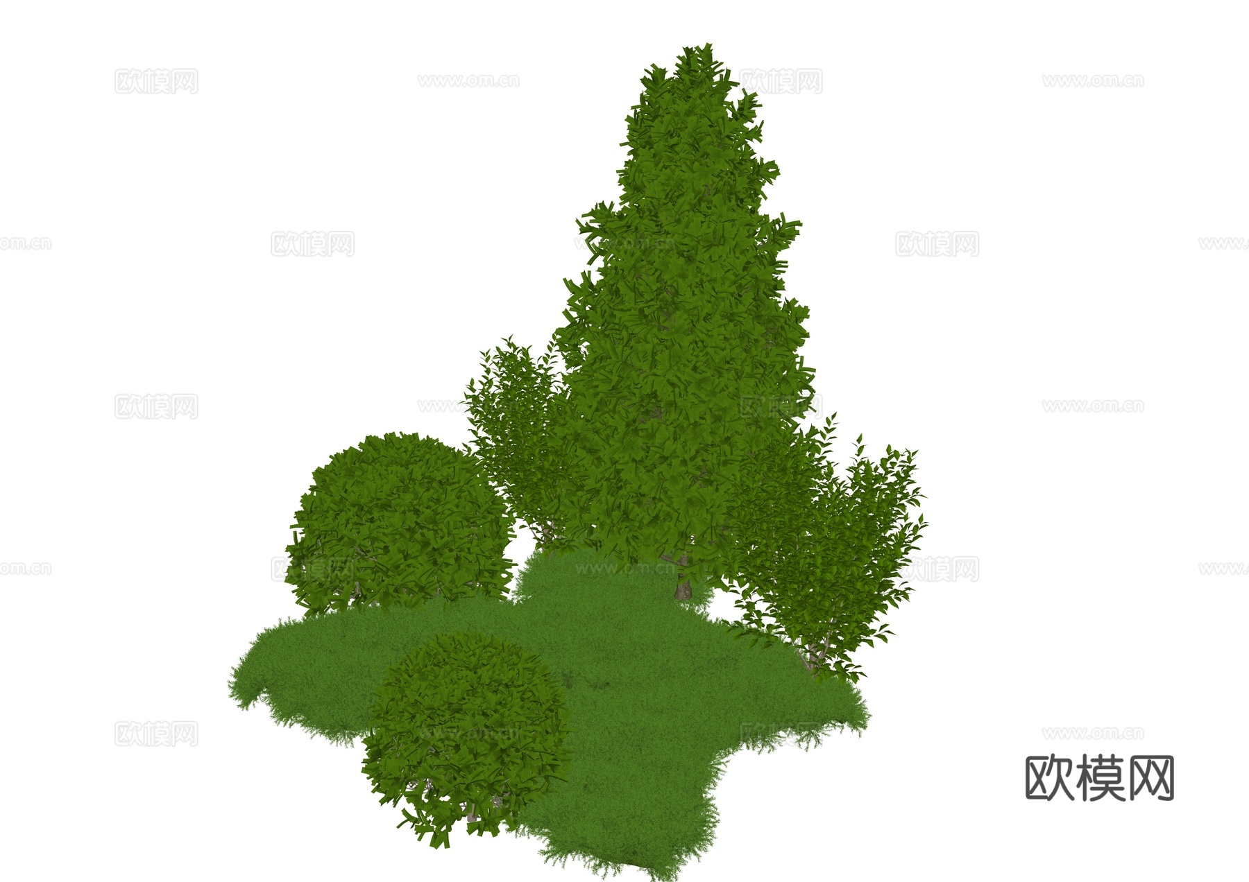 灌木 灌木丛 组团灌木 绿化带植物 球形植被 球形植物 绿化su模型