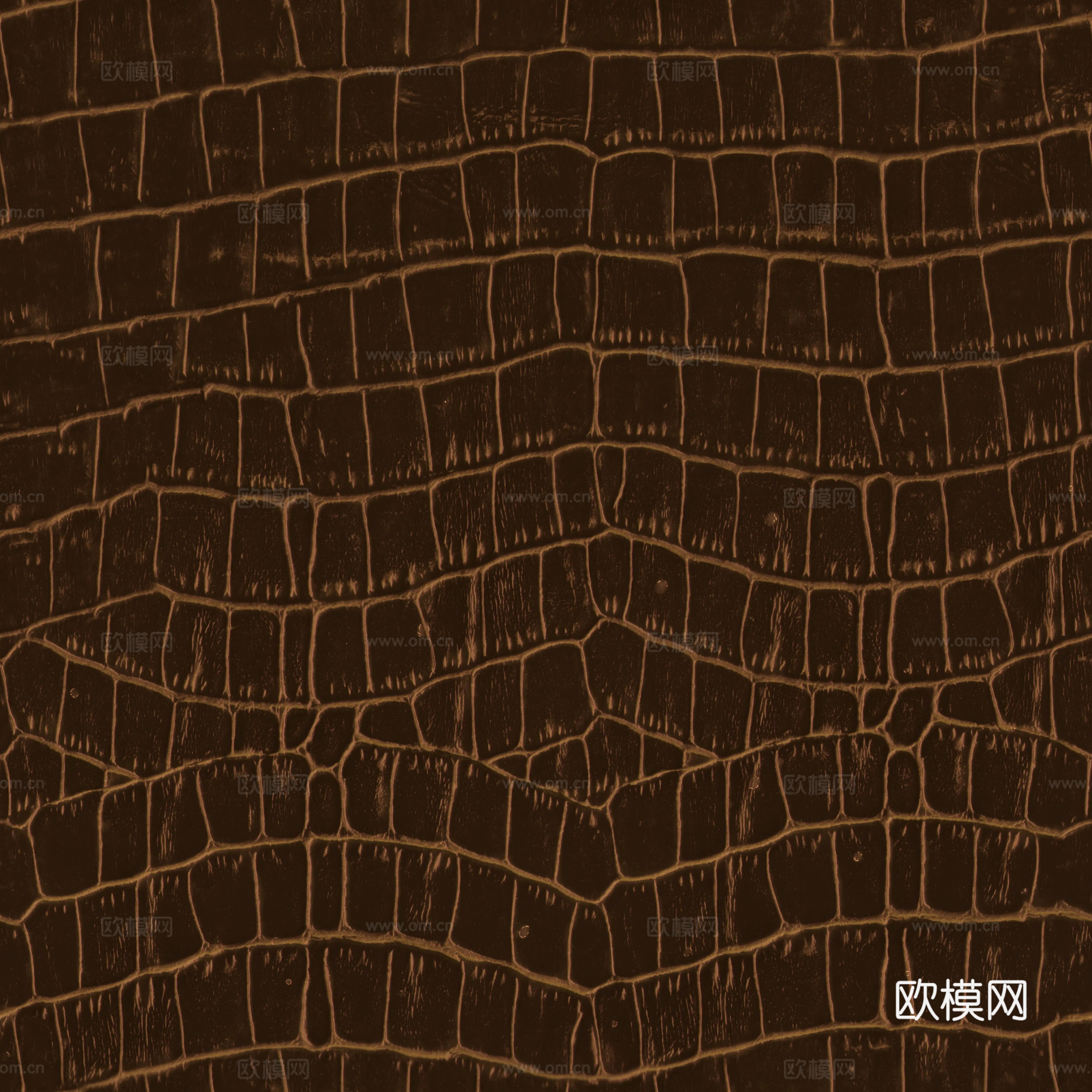 高清鳄鱼皮皮革贴图