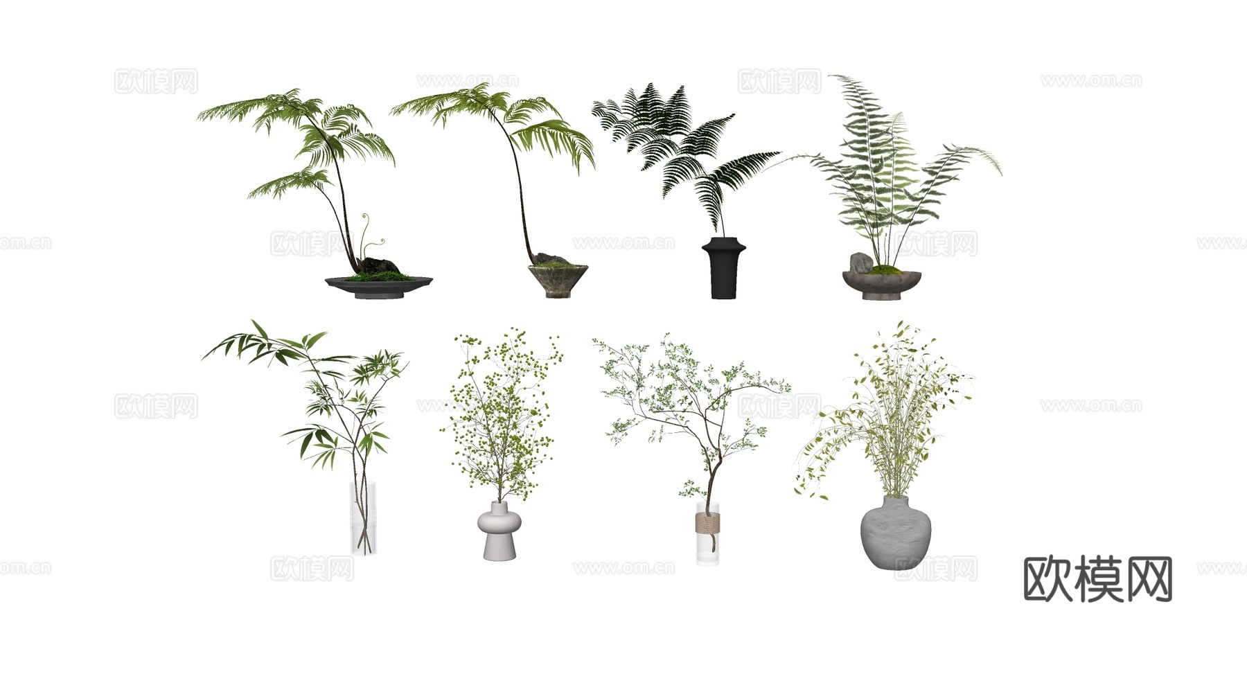 新中式绿植盆栽 蕨类水培植物 设计感花盆  苔藓石头su模型下载（渲染图3）