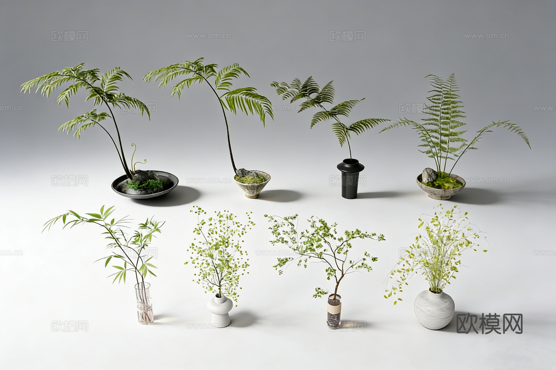 新中式绿植盆栽 蕨类水培植物 设计感花盆  苔藓石头su模型下载（渲染图2）