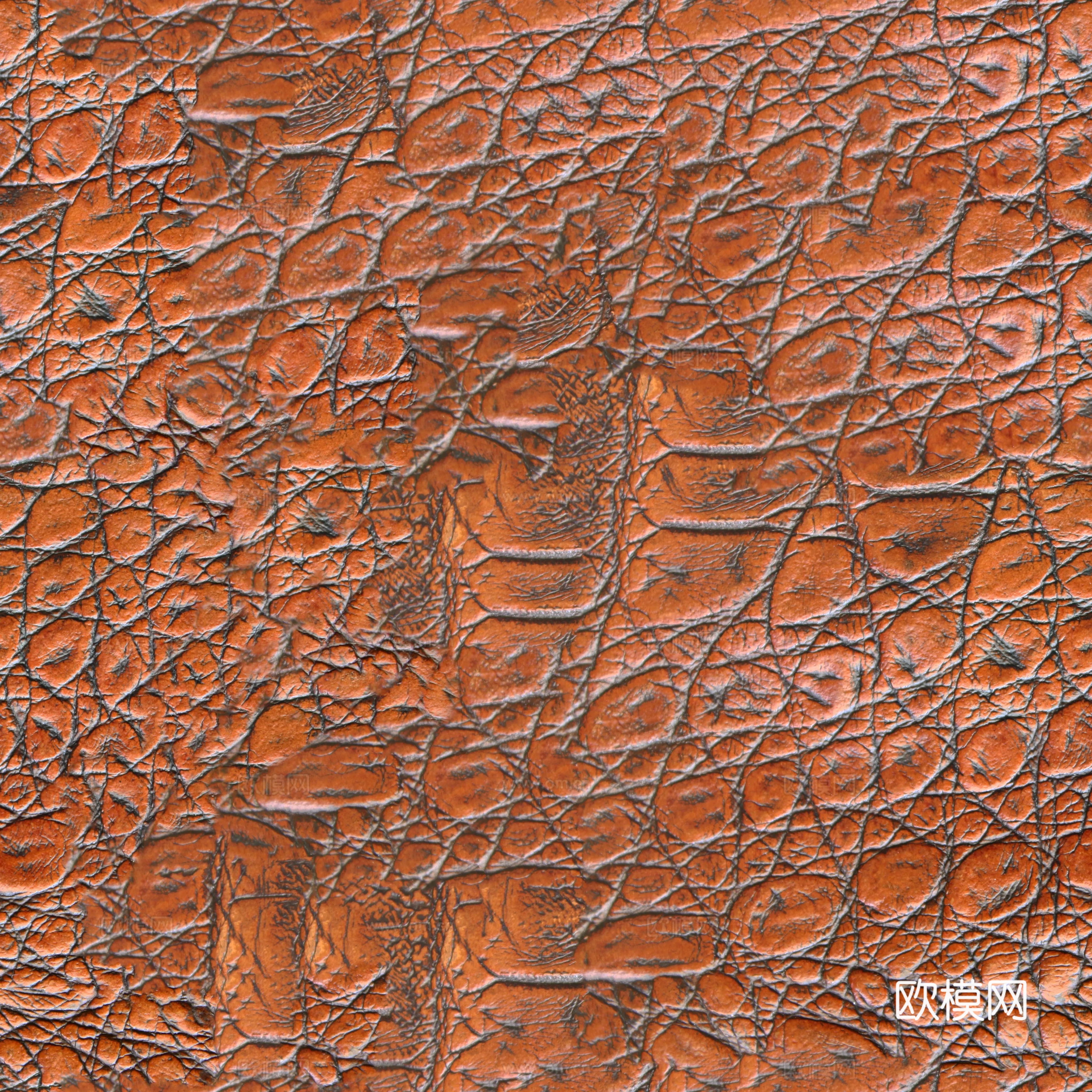 高清动物皮皮革贴图