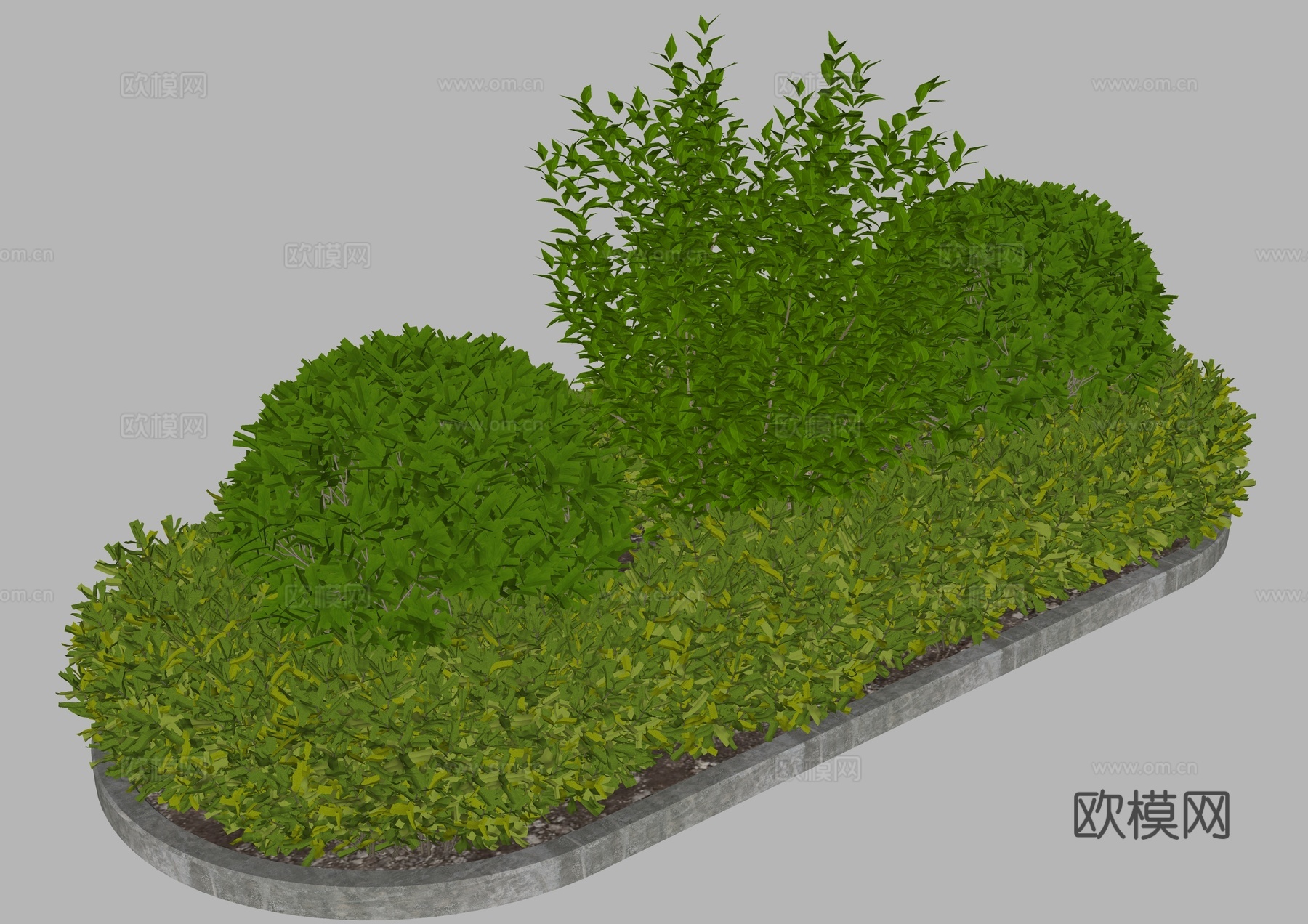 灌木 花坛 组团灌木 绿化带植物 球形植被 球形植物 绿化带su模型下载（渲染图2）