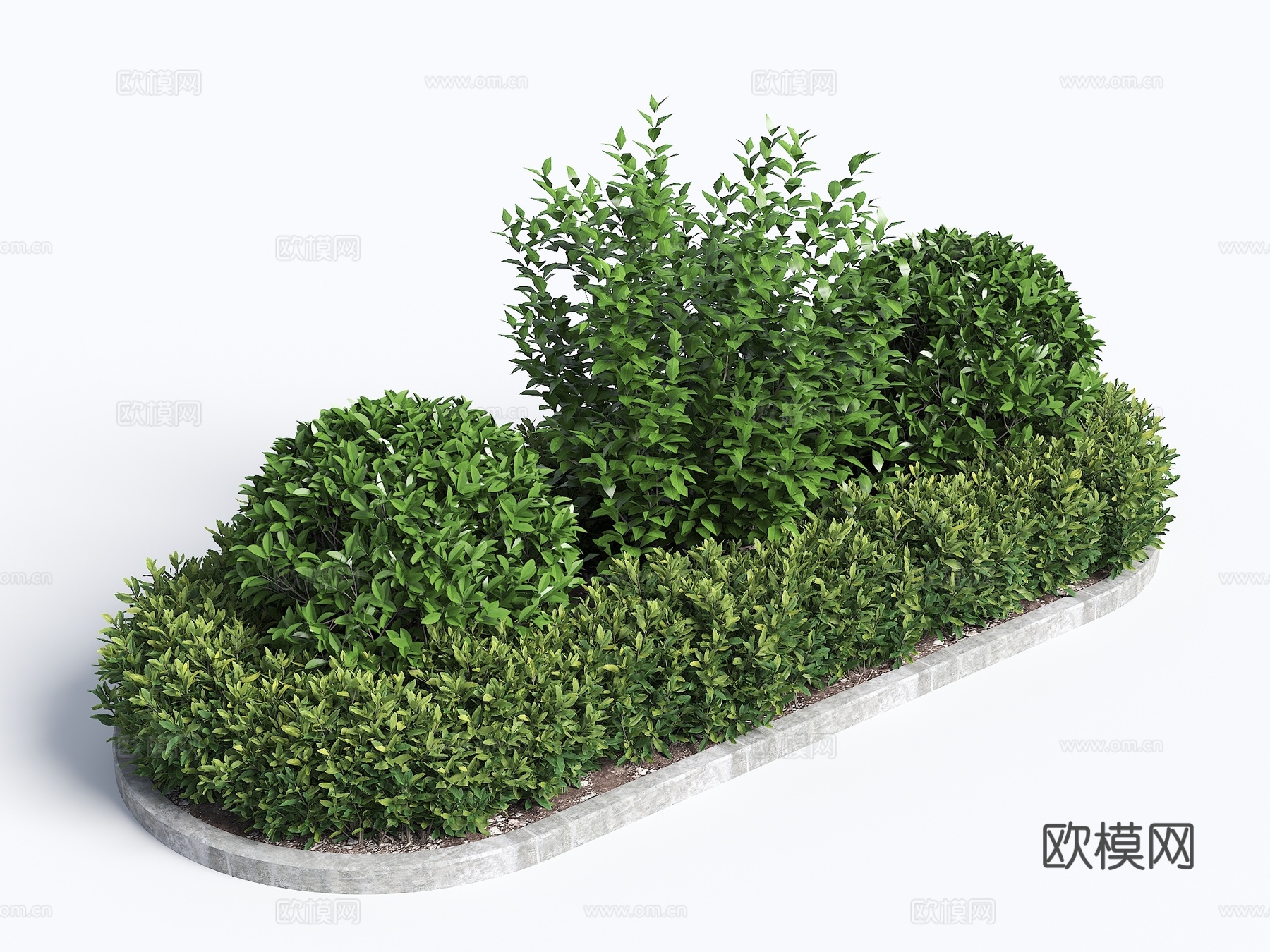 灌木 花坛 组团灌木 绿化带植物 球形植被 球形植物 绿化带su模型下载（渲染图1）